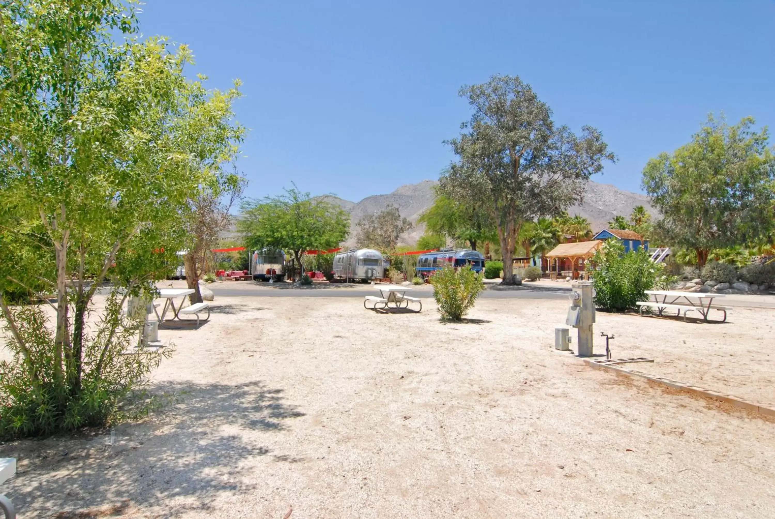 Natural landscape in Palm Canyon Hotel and RV Resort