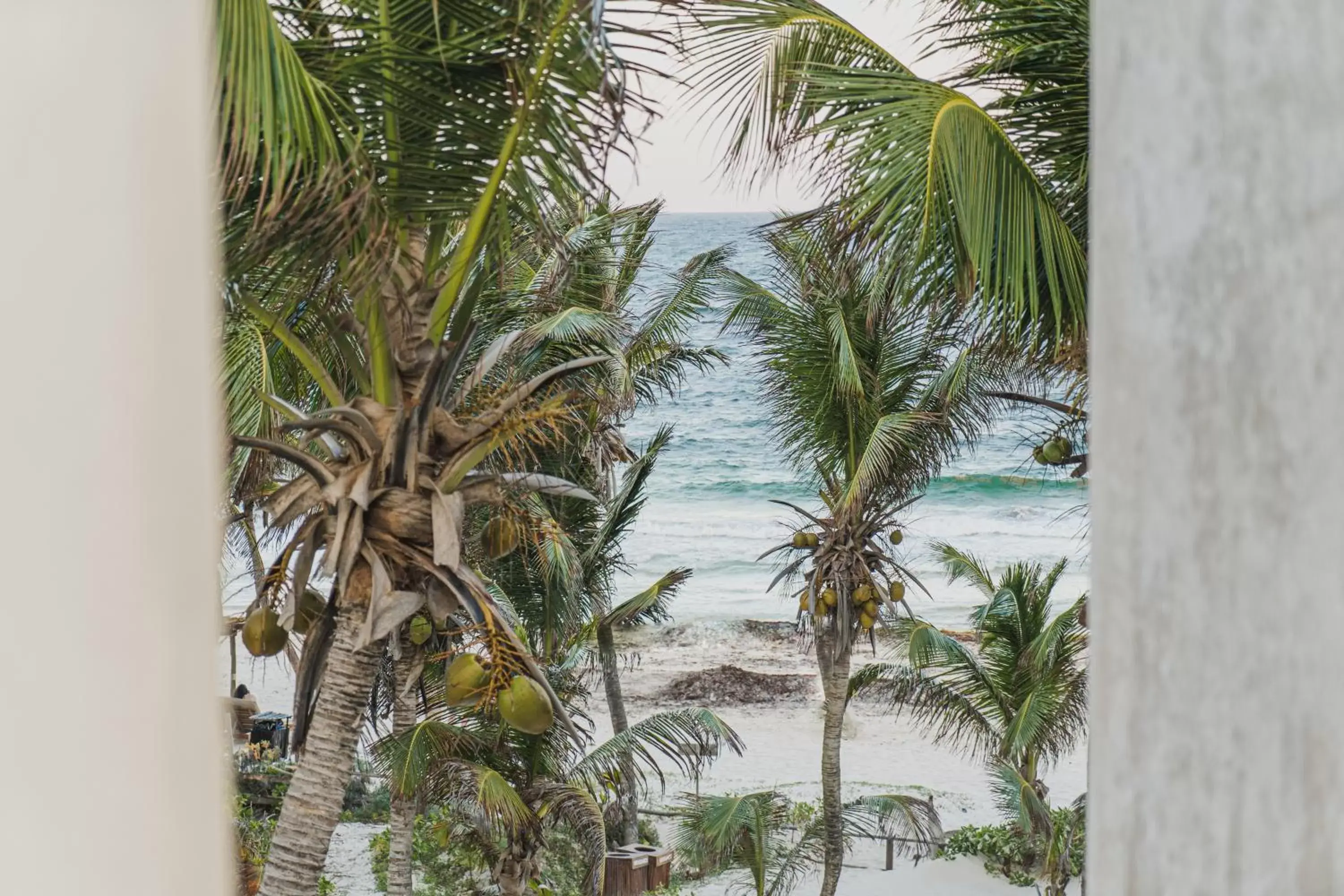 Beach, Pool View in Los Arrecifes