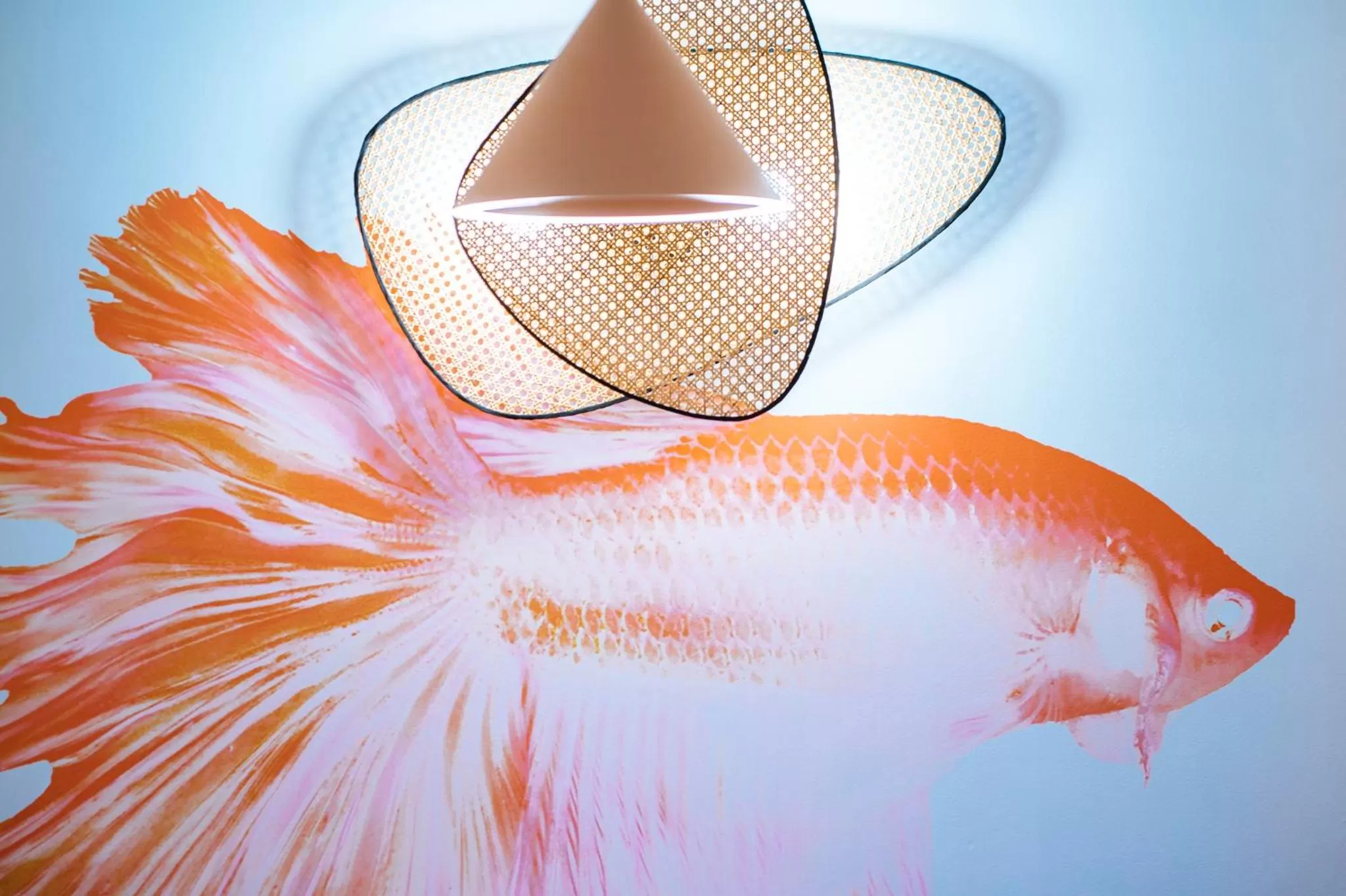 Restaurant/places to eat in ibis Styles Antibes