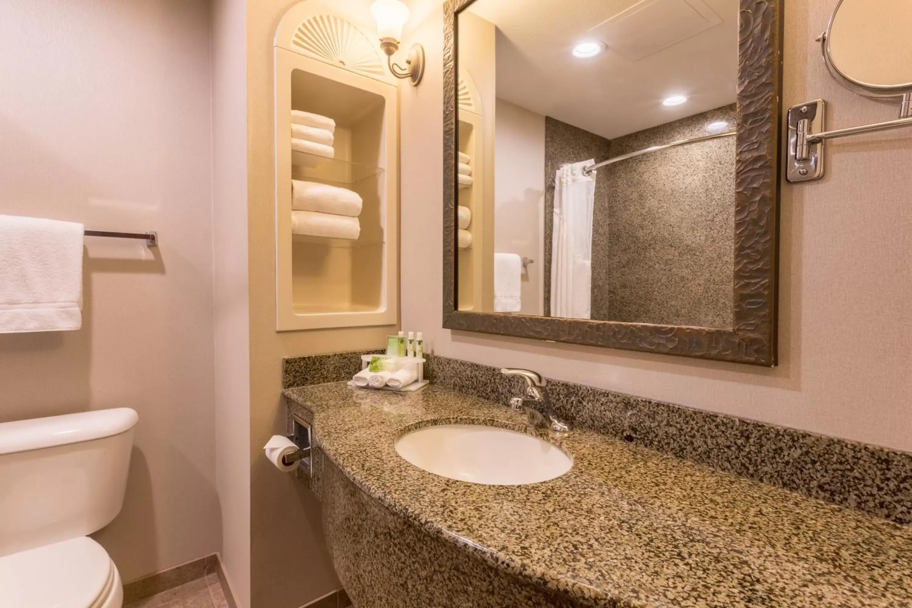 Bathroom in Holiday Inn Express Hotel & Suites Manteca, an IHG Hotel