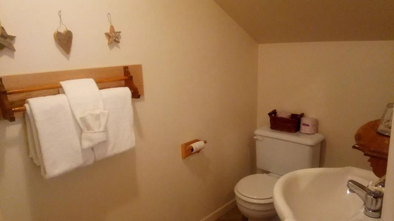 Toilet, Bathroom in Auberge Micro-Brasserie Le Baril Roulant