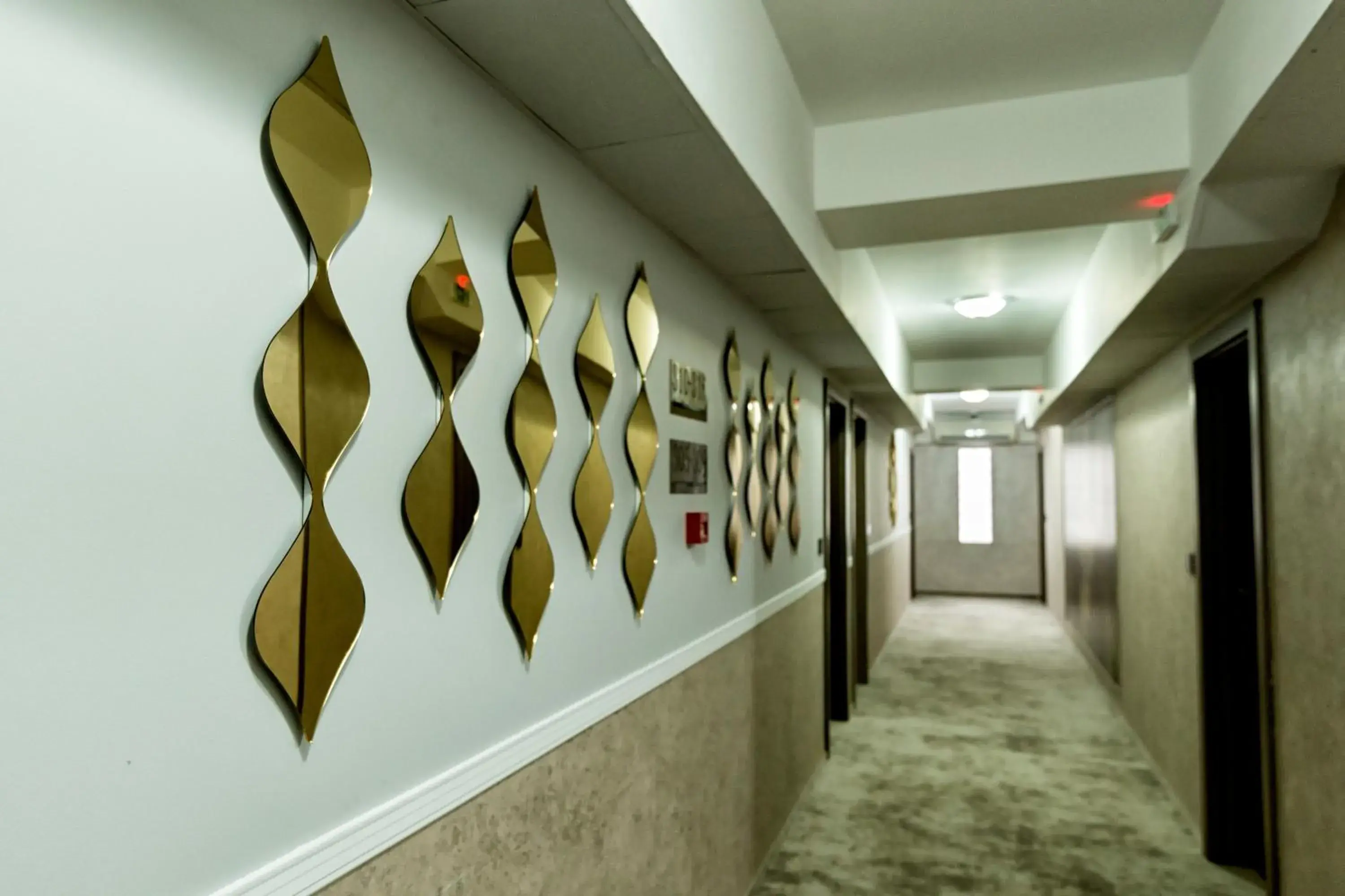 Area and facilities in Prestige Boutique Hotel Craiova