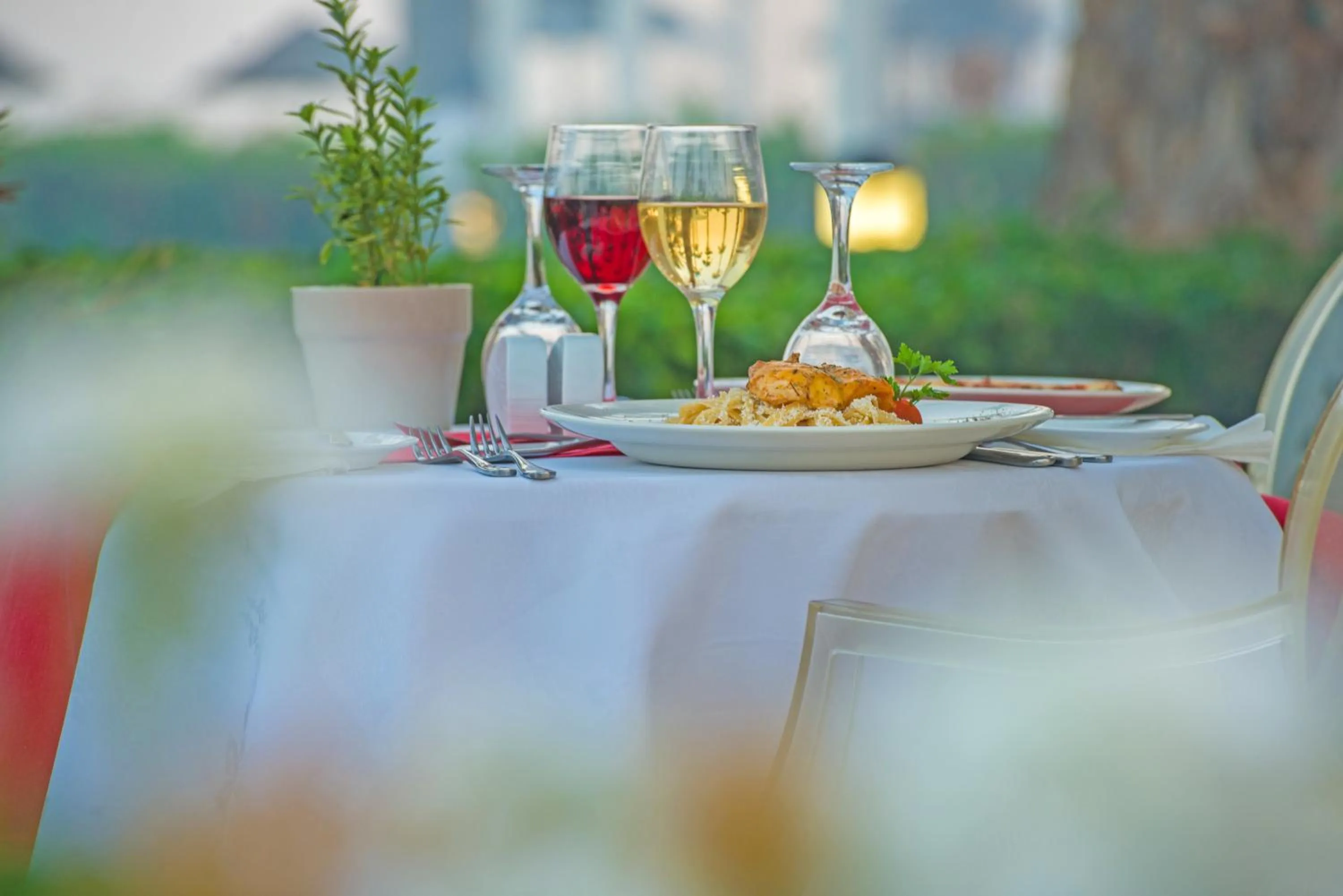 Food and drinks in Dome Beach Marina Hotel & Resort