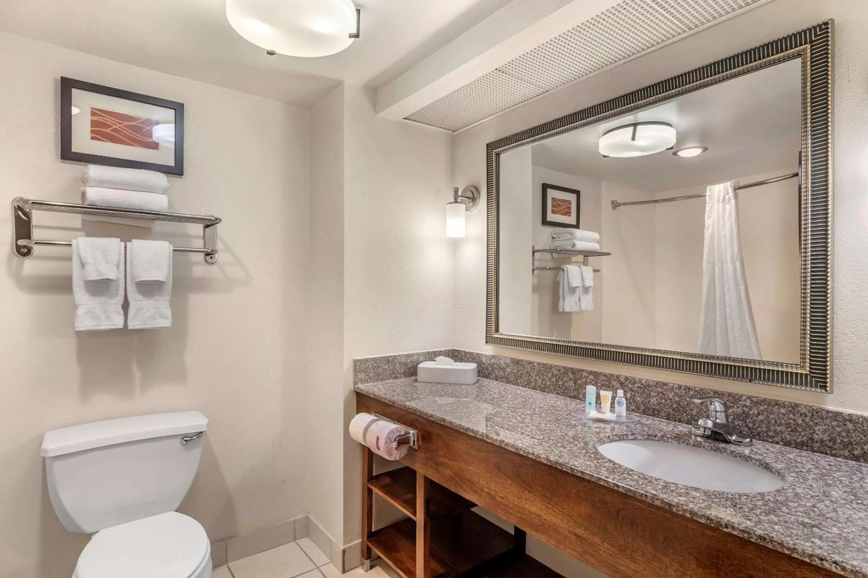 Photo of the whole room in Comfort Inn & Suites Athens North