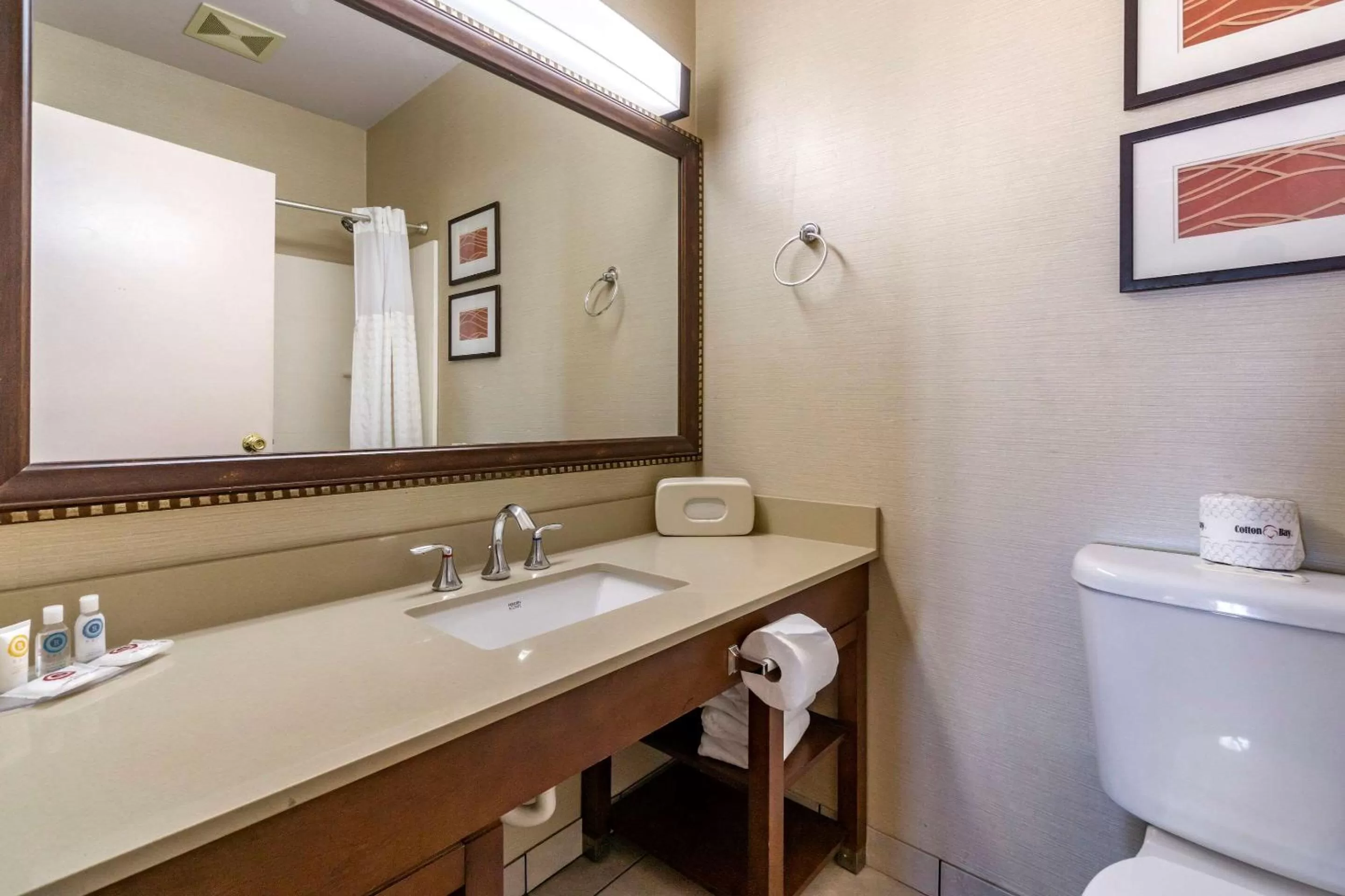 Bathroom in Comfort Inn & Suites Seattle North