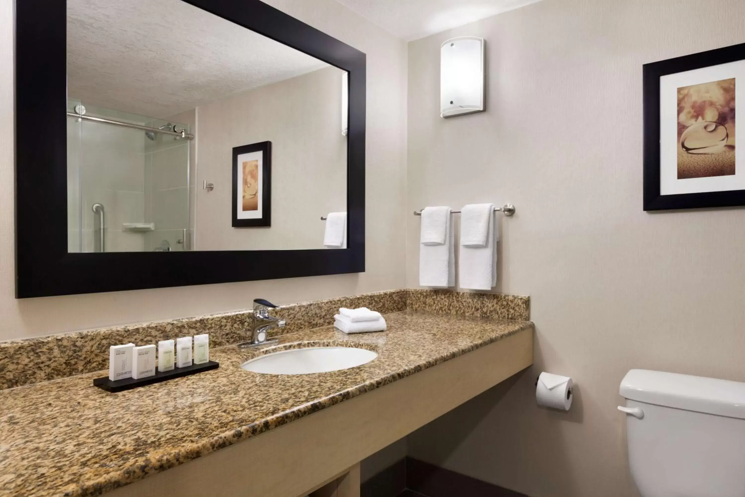 Bathroom in Embassy Suites by Hilton Convention Center Las Vegas