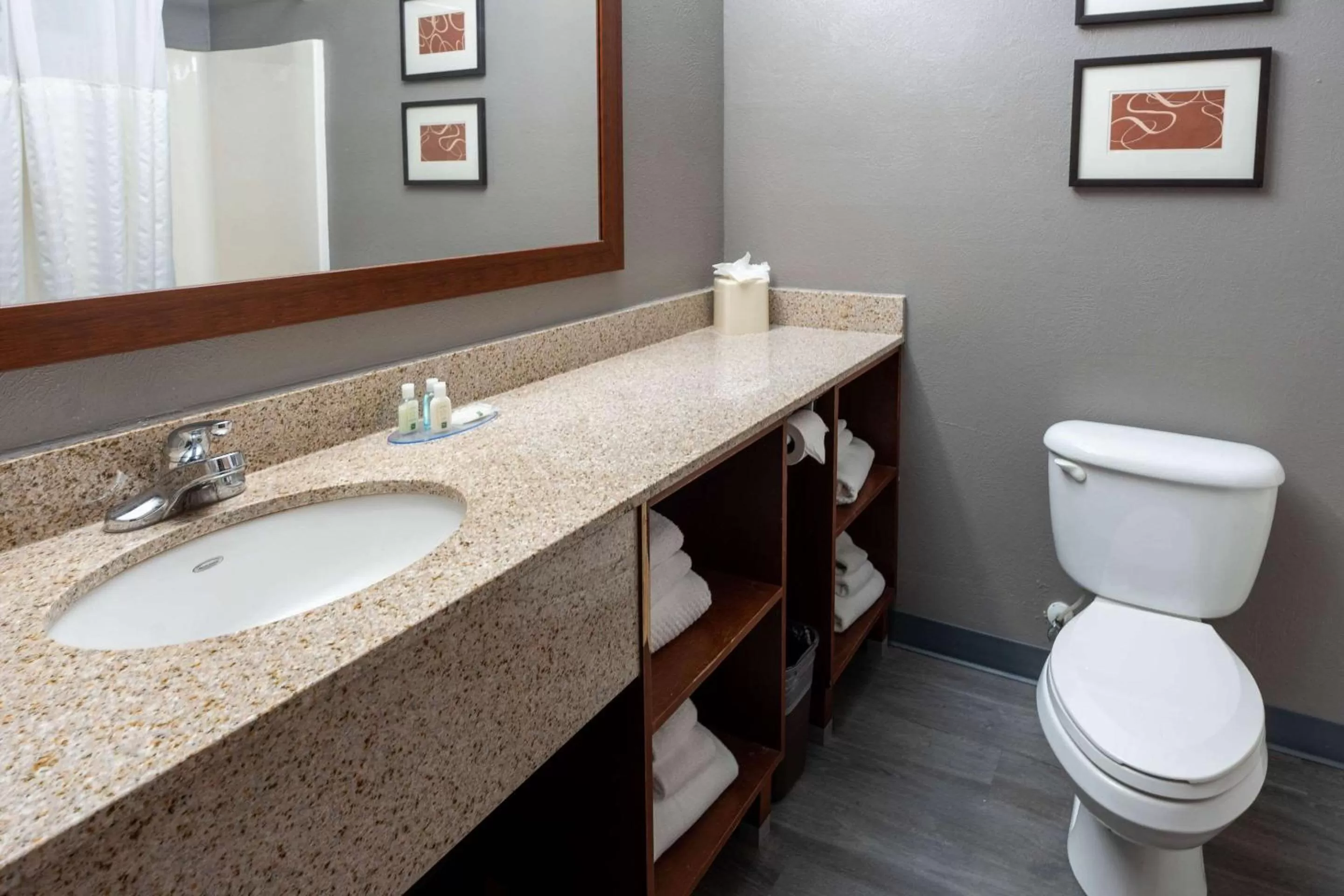 King Suite with Accessible Tub -  Accessible/Non-Smoking in Spark by Hilton Indianapolis Northeast Fishers