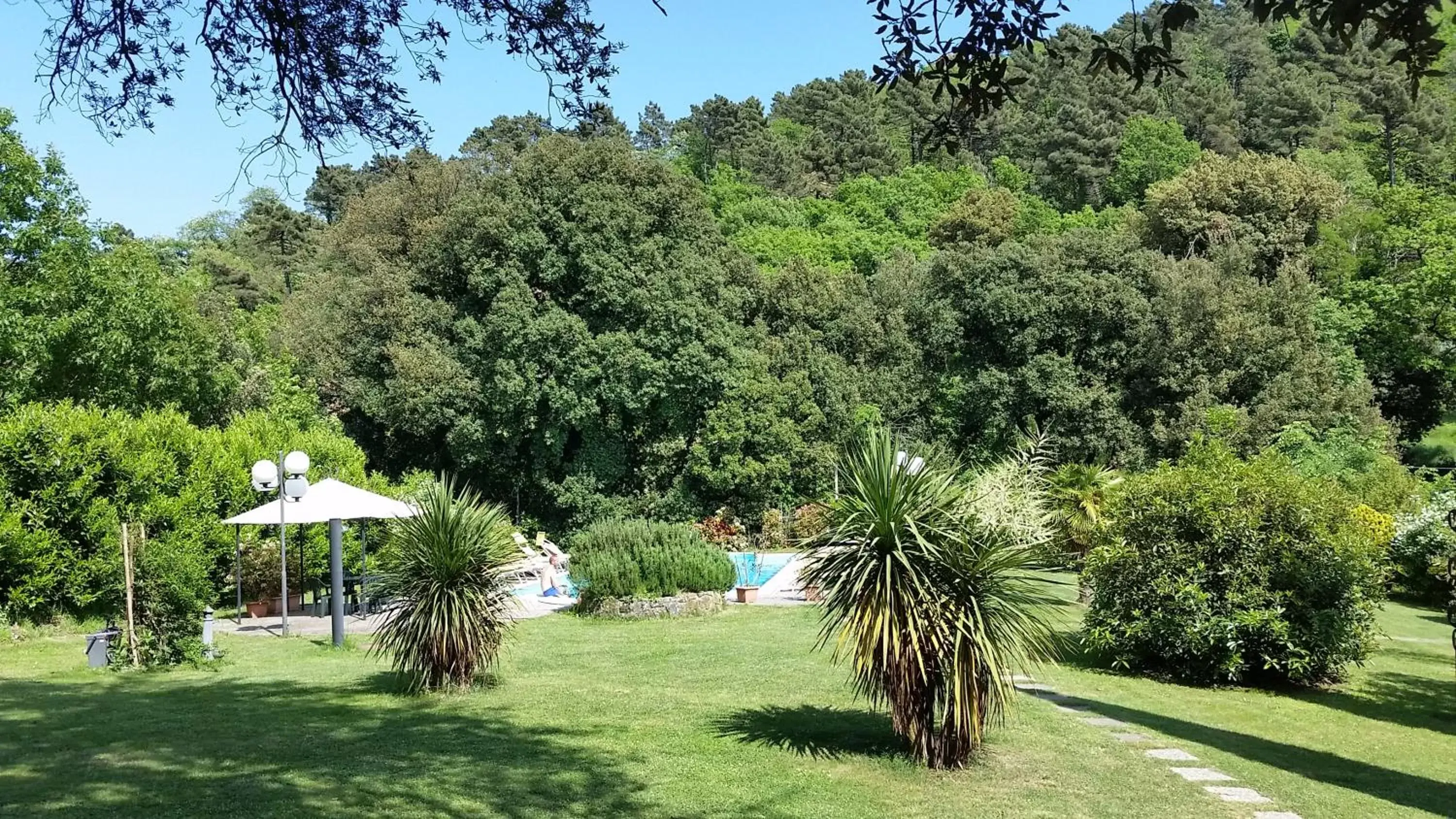 Garden in Hotel Monti