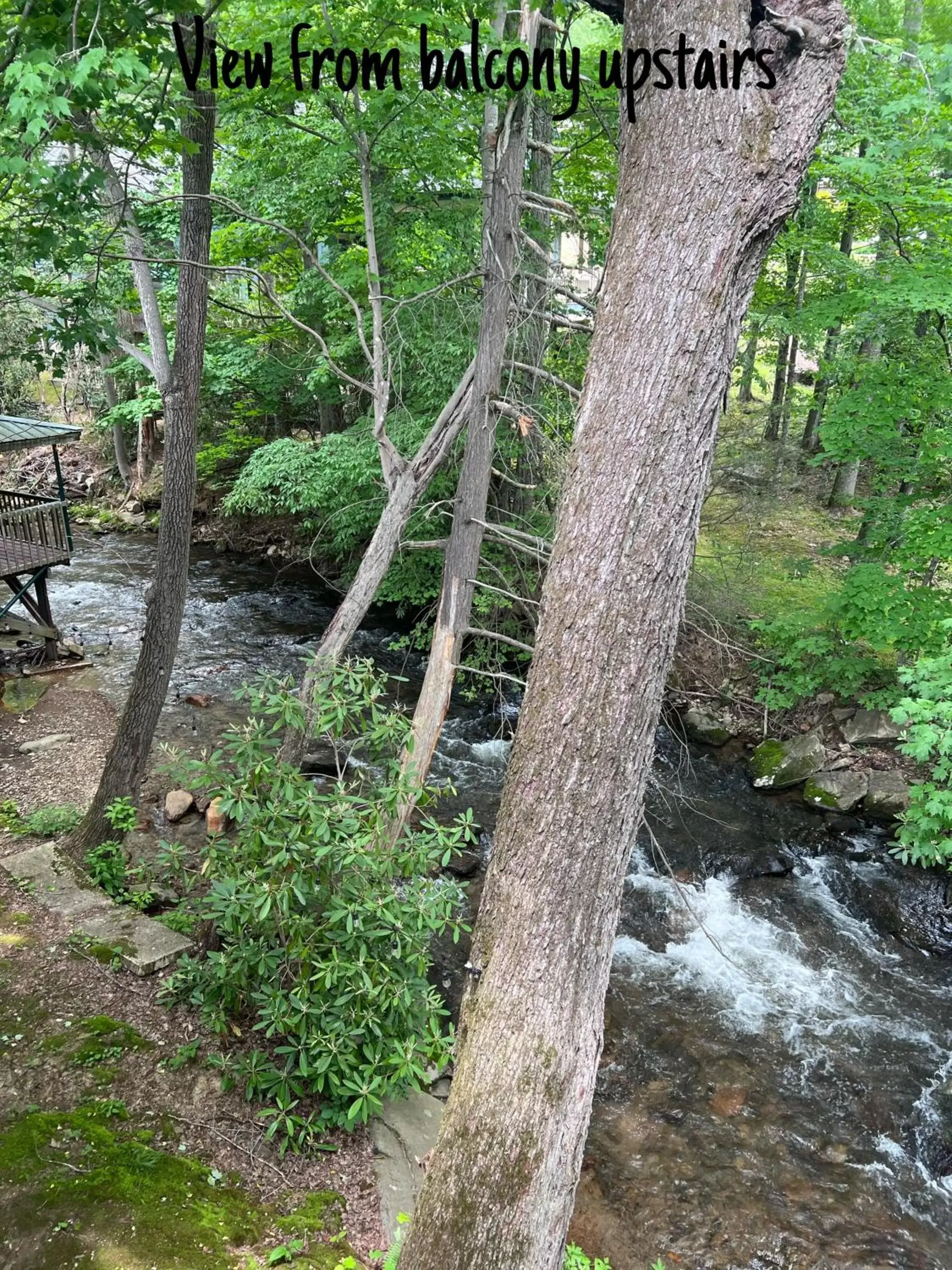 Natural Landscape in Stony Creek Motel