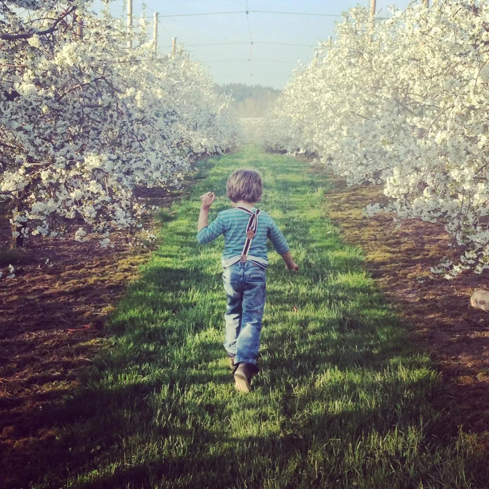 Activities in Gut Hügle Erlebnishof & Spa
