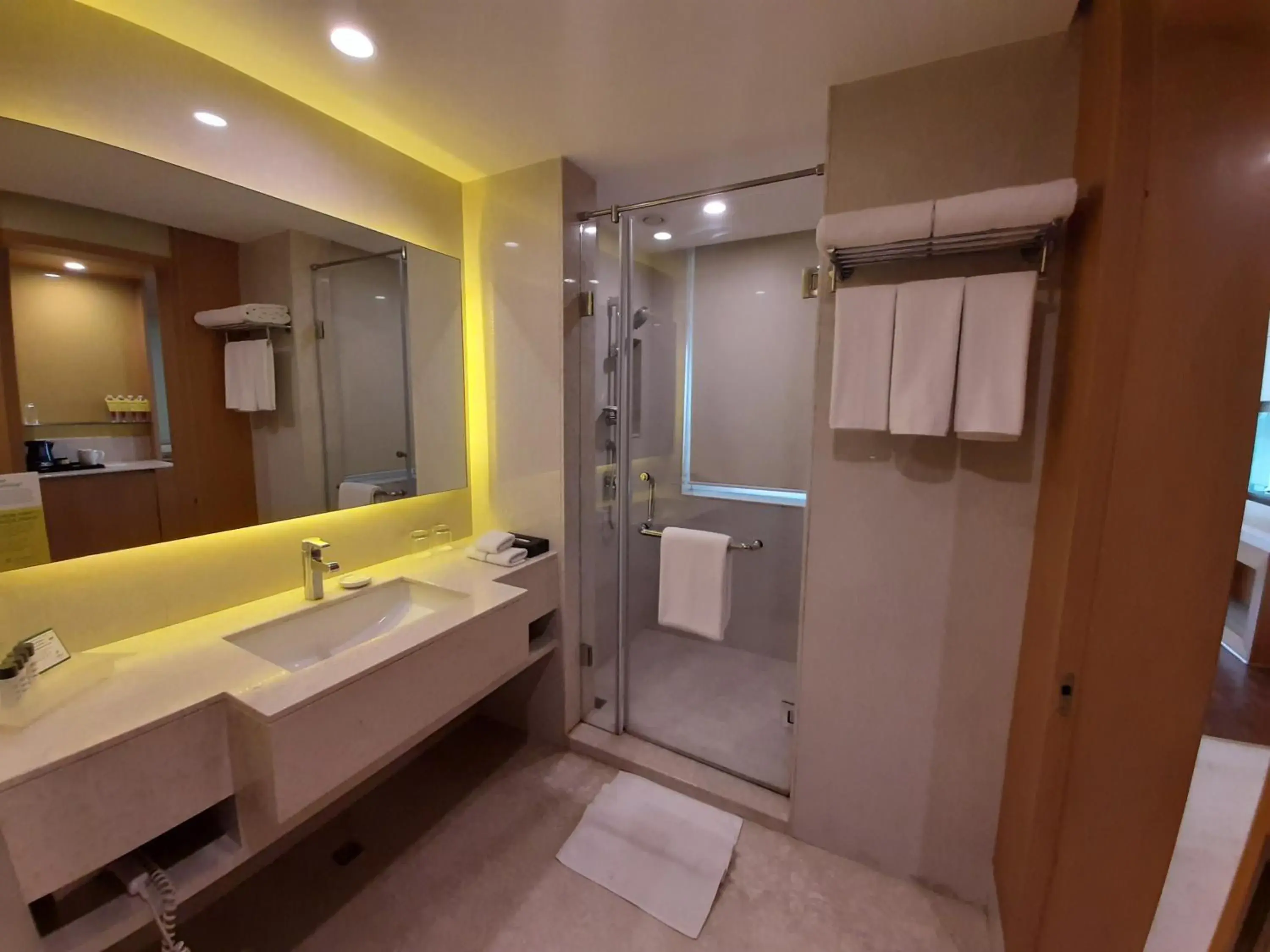 Toilet, Bathroom in Holiday Inn Amritsar Ranjit Avenue, an IHG Hotel