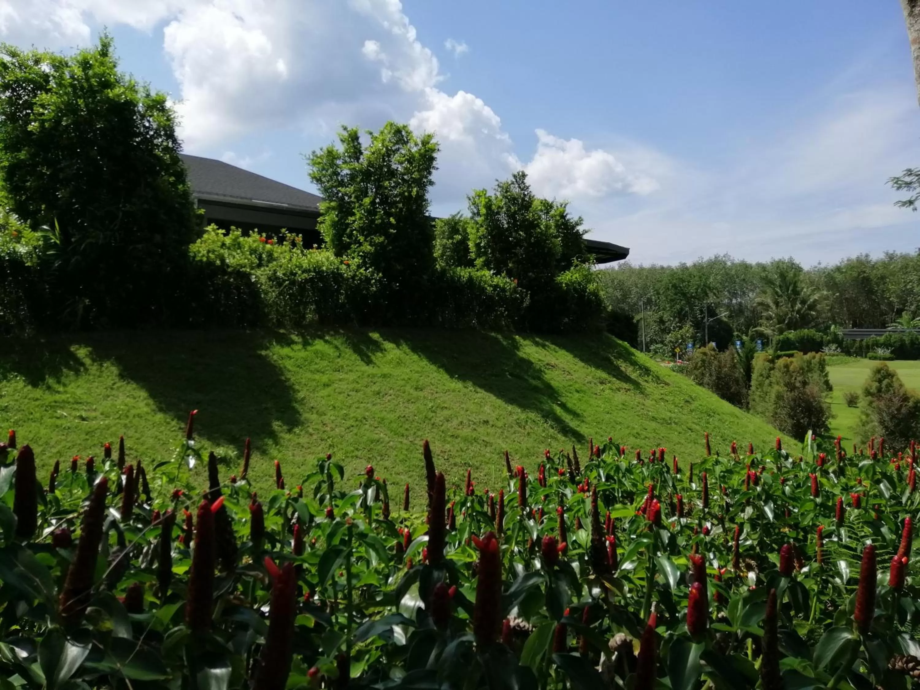 Natural landscape in Khaolak Blue Sky Villa