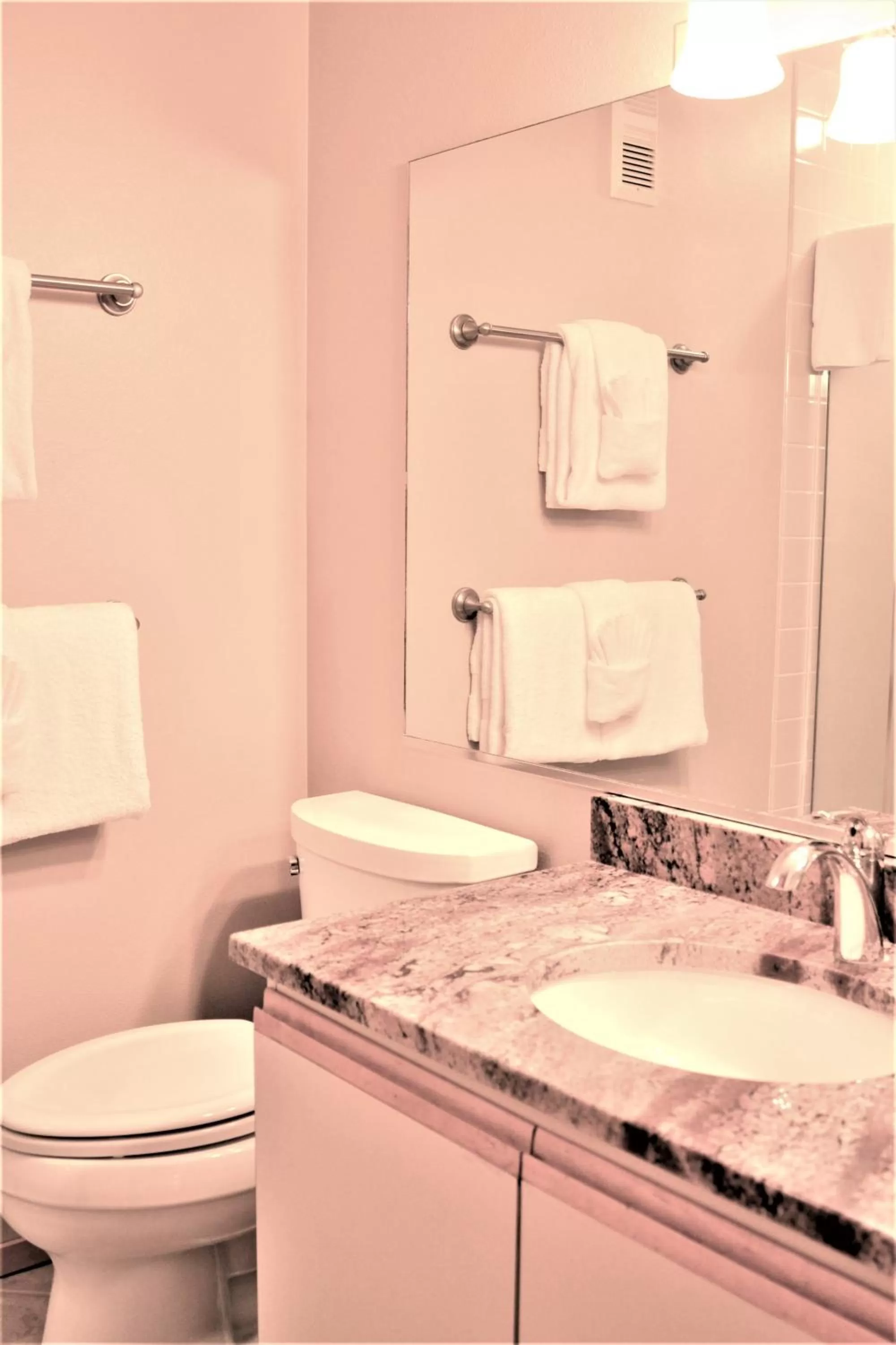 Toilet in Simba Run Vail Condominiums