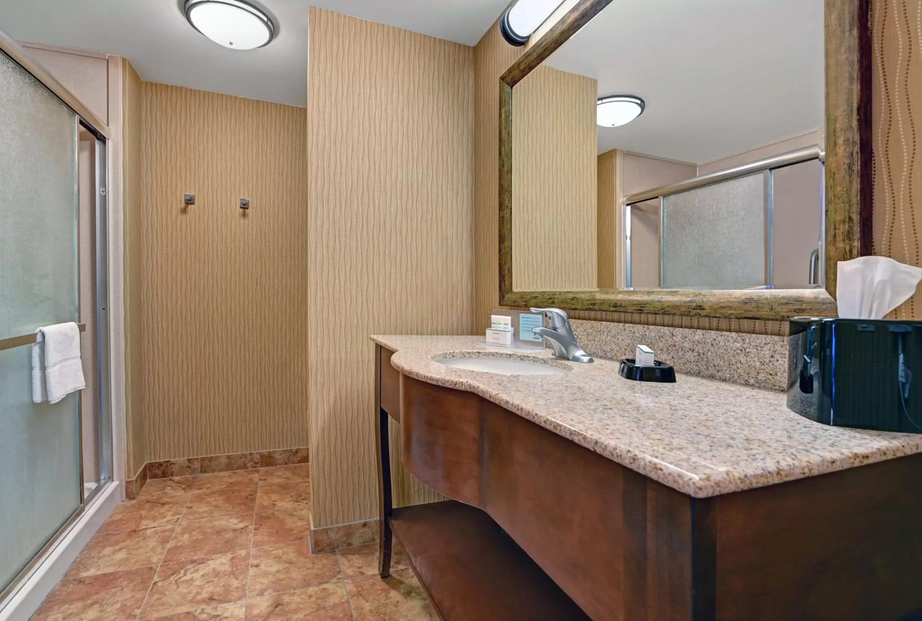 Bathroom in Hampton Inn Deming