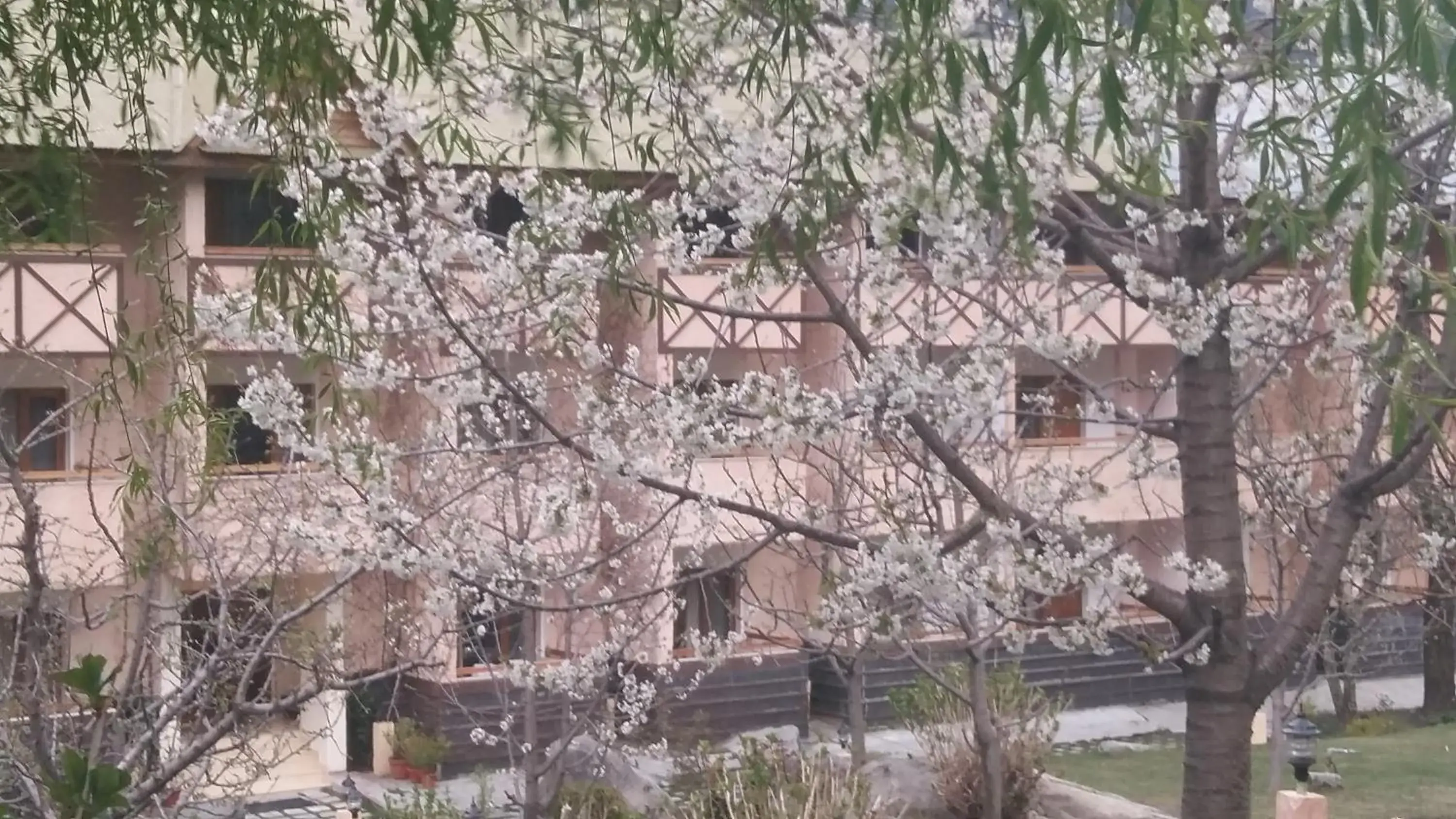 Garden in Solang Valley Resort