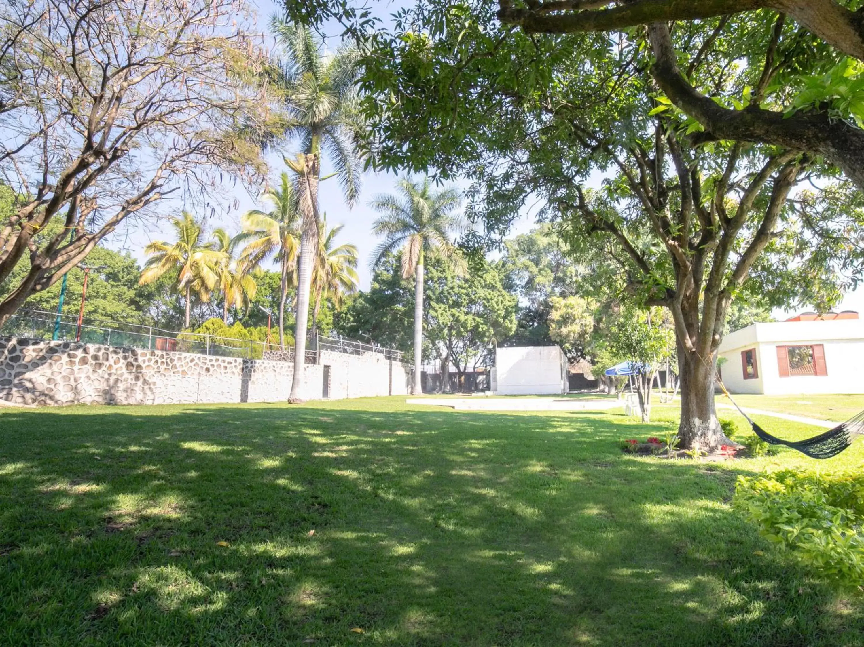 Garden in Hotel Teques Palace