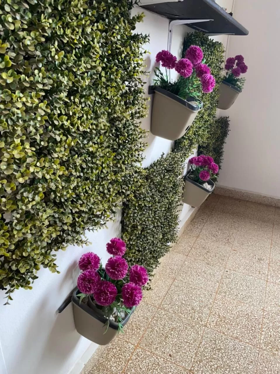 Property building in Hotel Balop