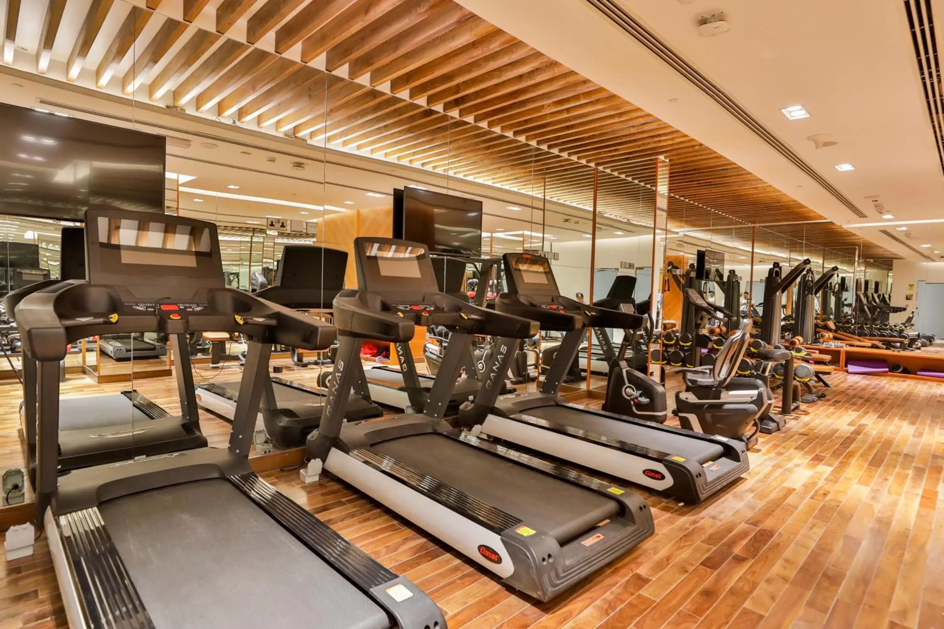 Fitness centre/facilities, Fitness Center/Facilities in VIP Hotel Doha Qatar