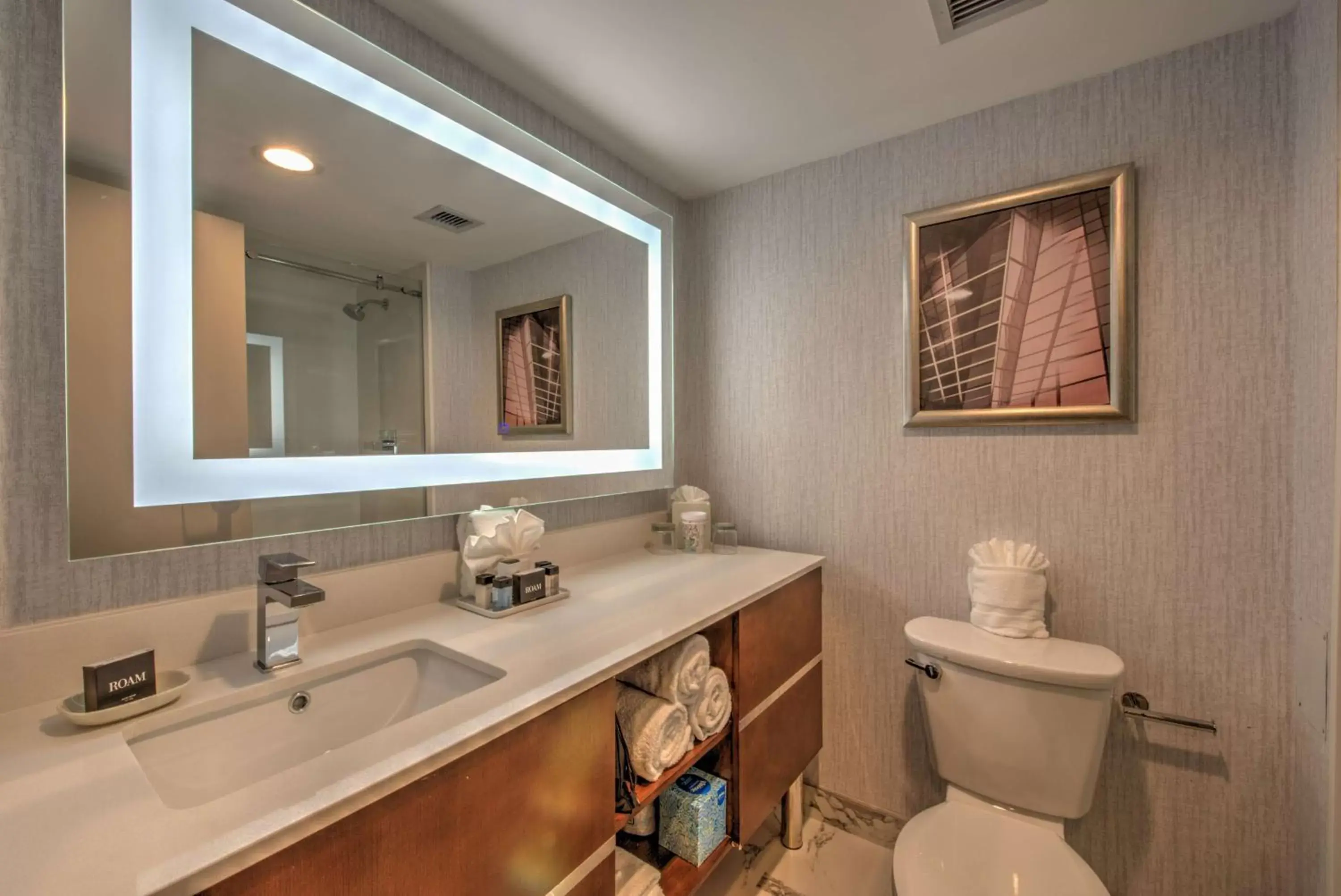 Bathroom in DoubleTree by Hilton Houston Brookhollow