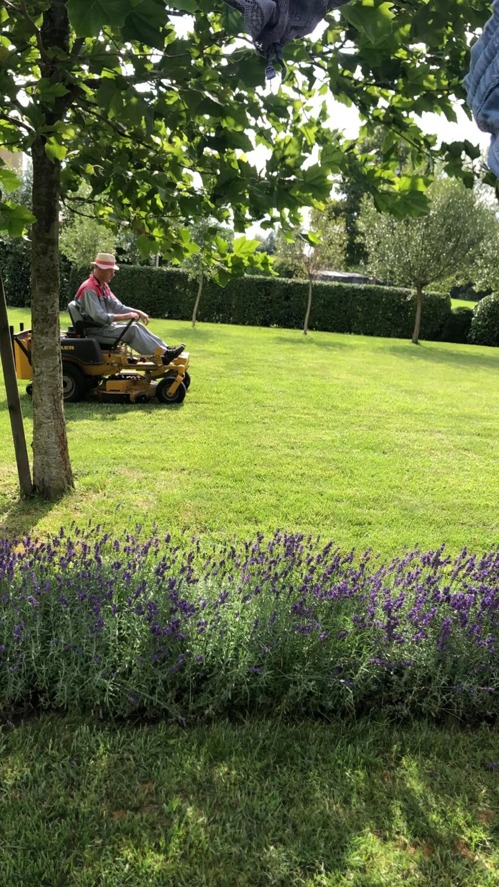 Garden in Logie Marie with hottub in the garden