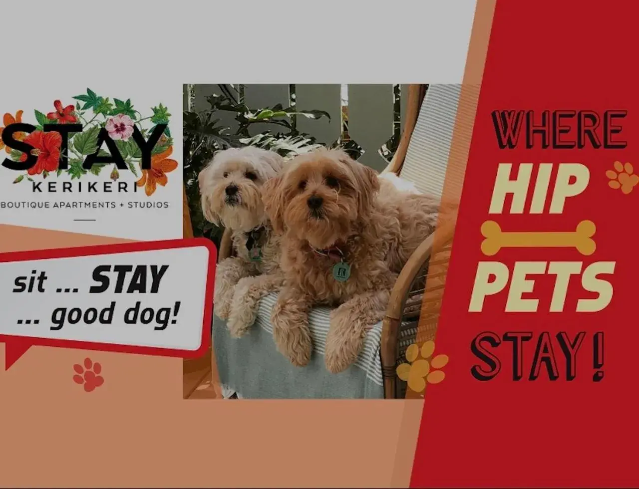 Pets in Stay Kerikeri