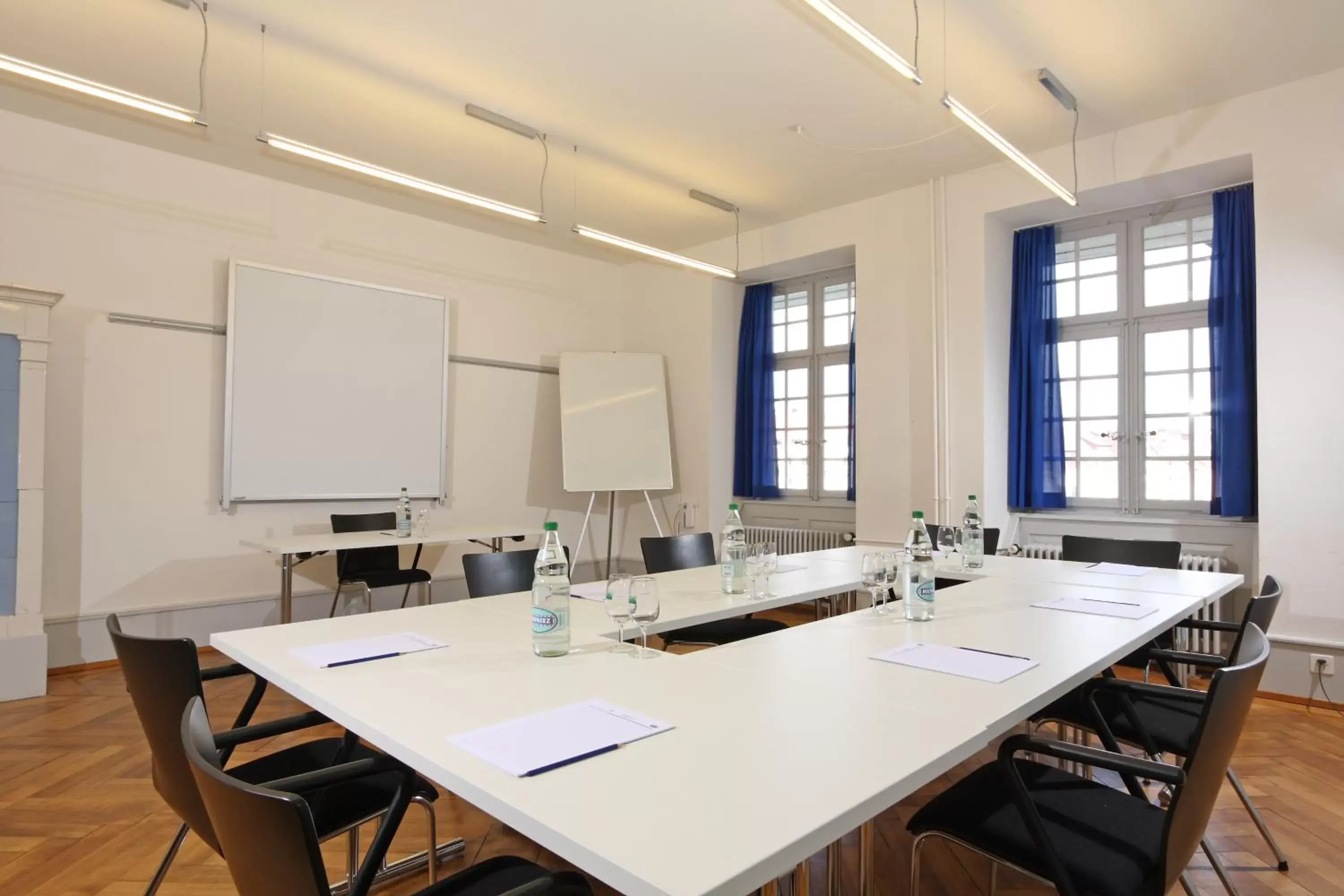 Business facilities in Hotel an der Aare Swiss Quality