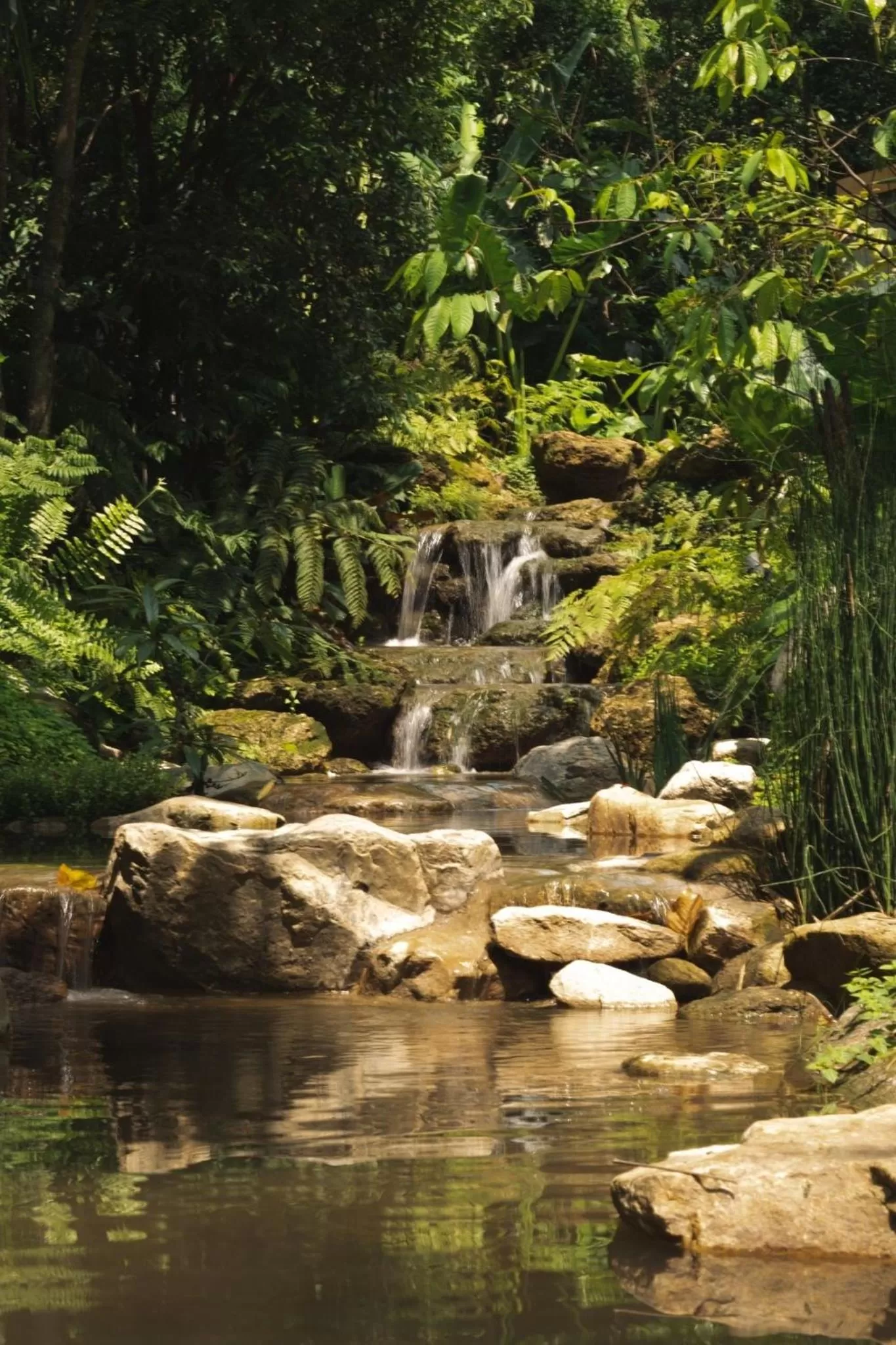 Natural landscape in Proud Phu Fah Muang Chiang Mai
