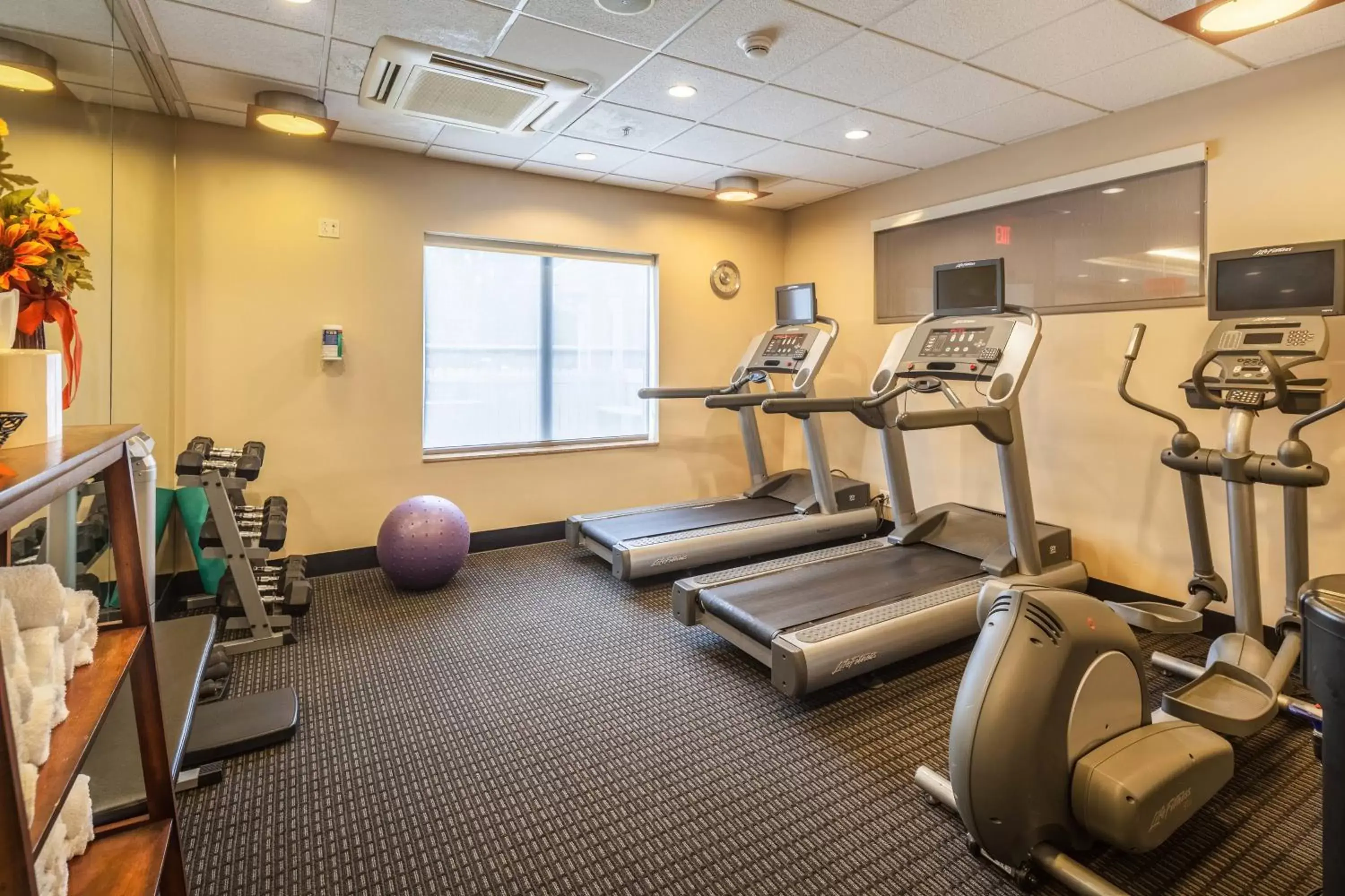 Fitness centre/facilities, Fitness Center/Facilities in TownePlace Suites Jacksonville Butler Boulevard
