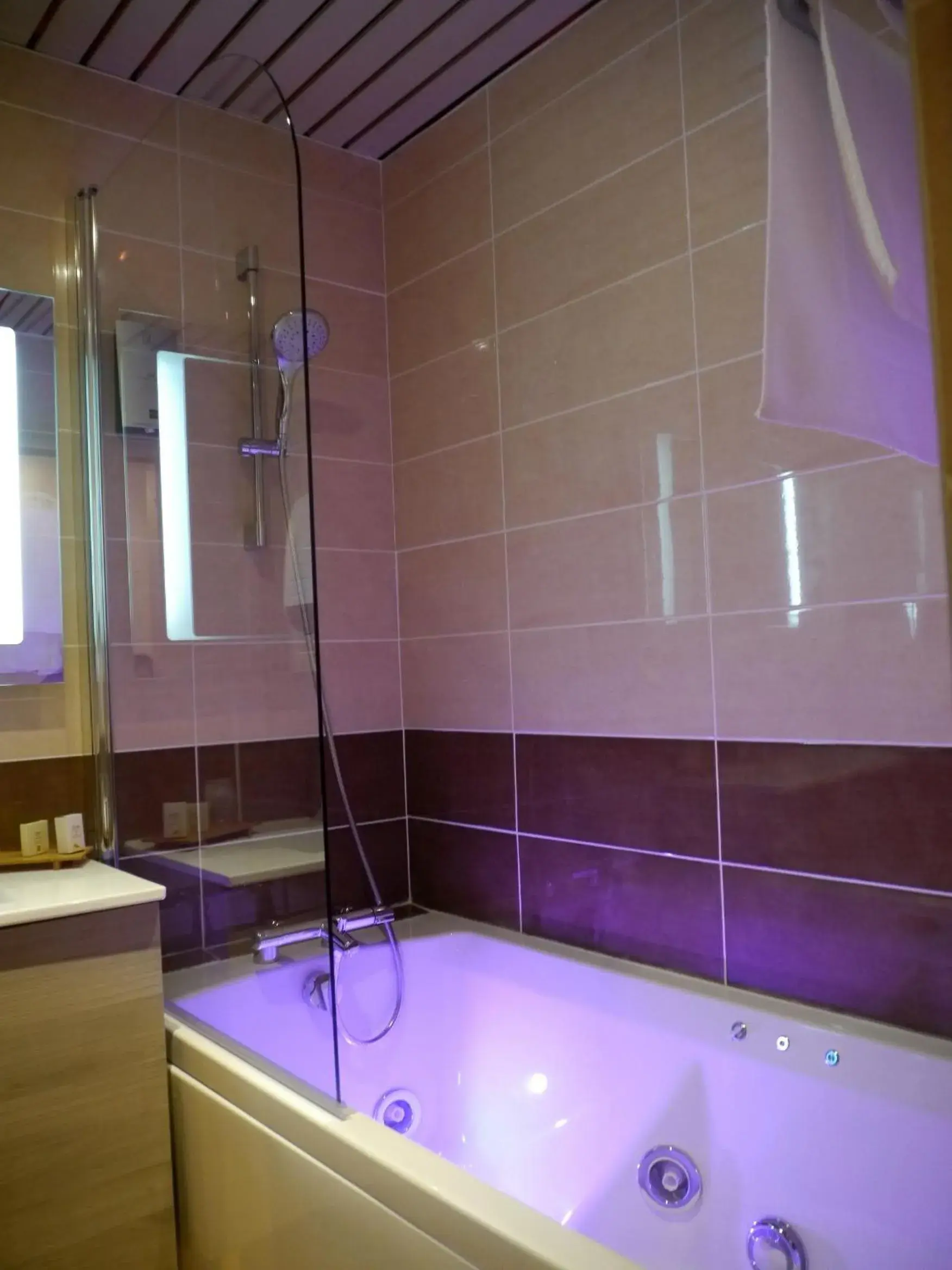 Shower, Bathroom in Hôtel Le Barry, Toulouse Nord