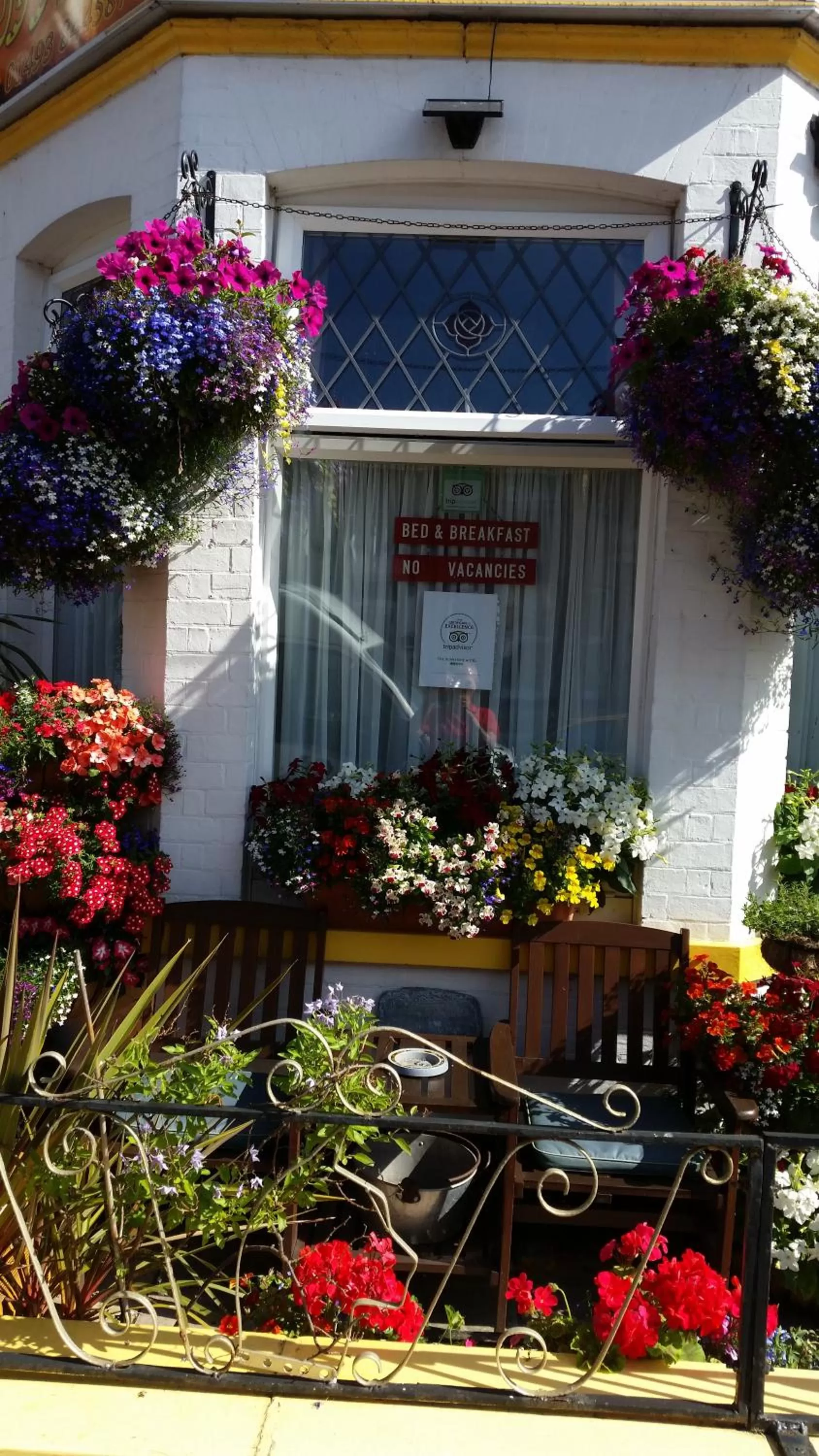 Garden in Sunnyside Hotel