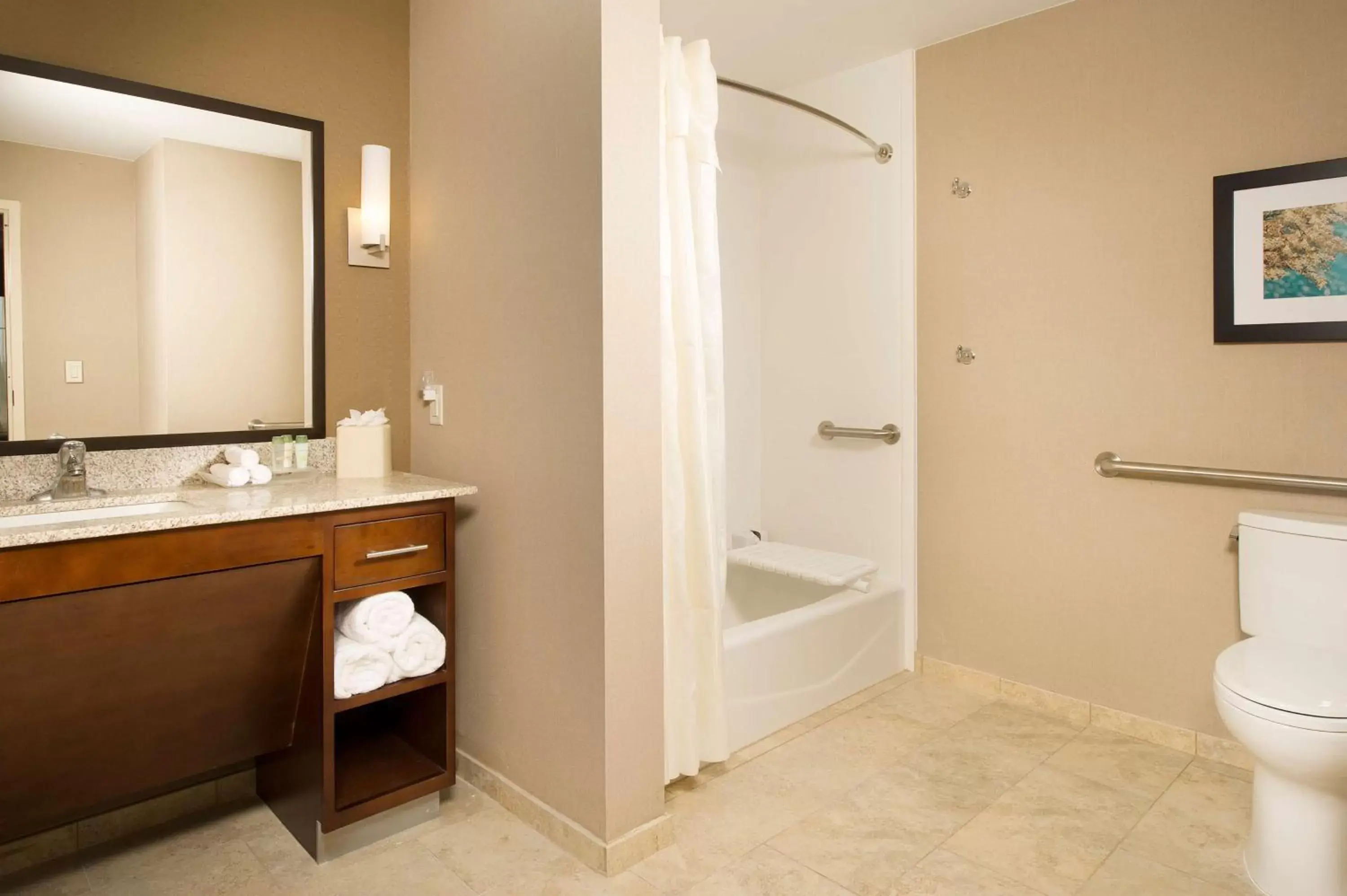 Bathroom in Homewood Suites by Hilton Lackland AFB/SeaWorld, TX