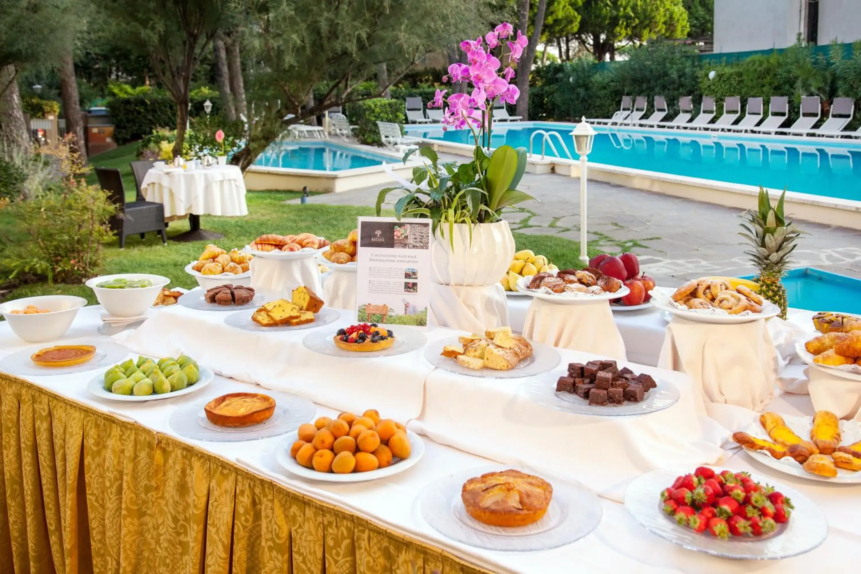 Food close-up, Swimming Pool in Hotel Doge