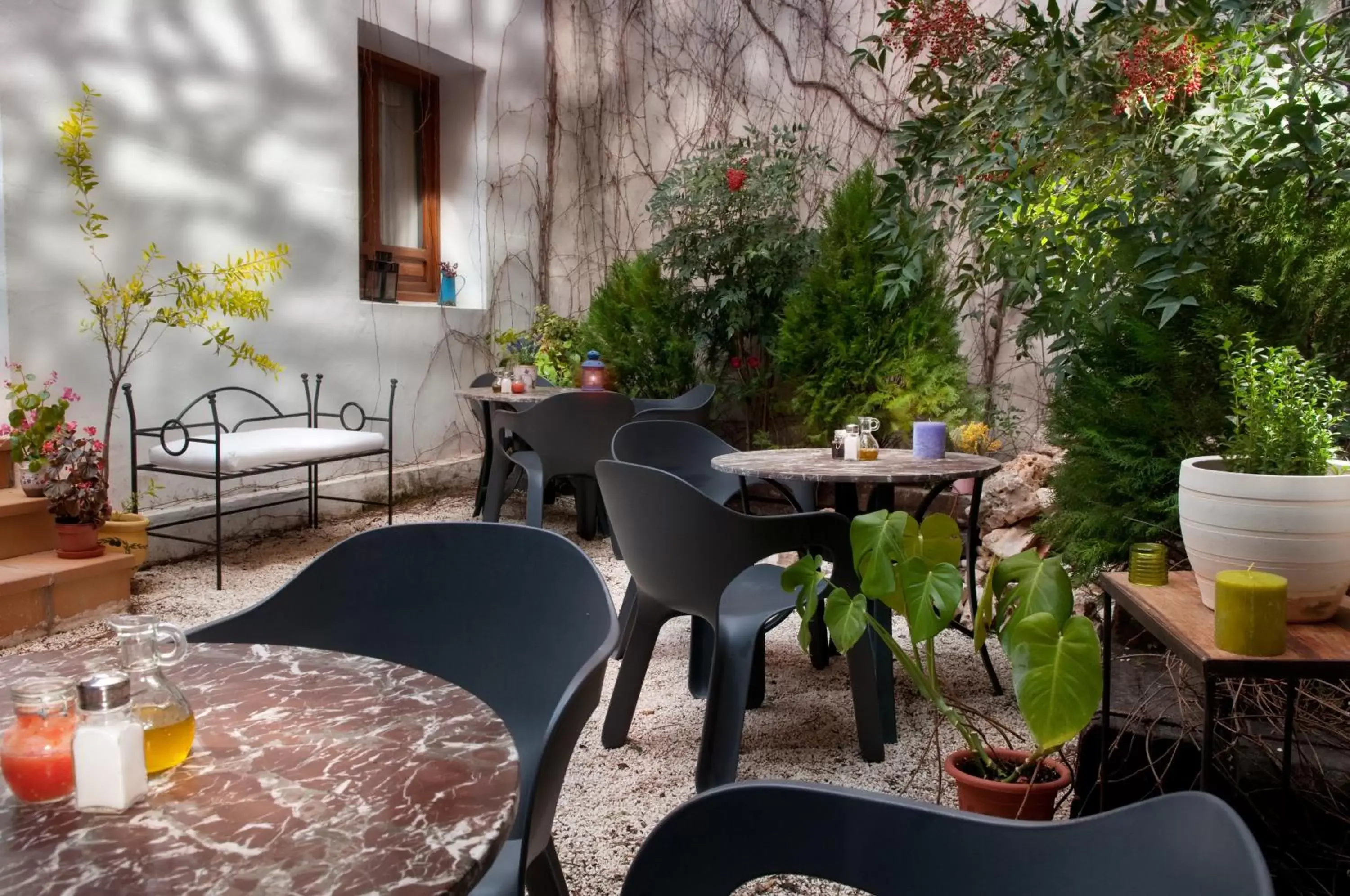 Garden, Restaurant/Places to Eat in Hotel Almunia