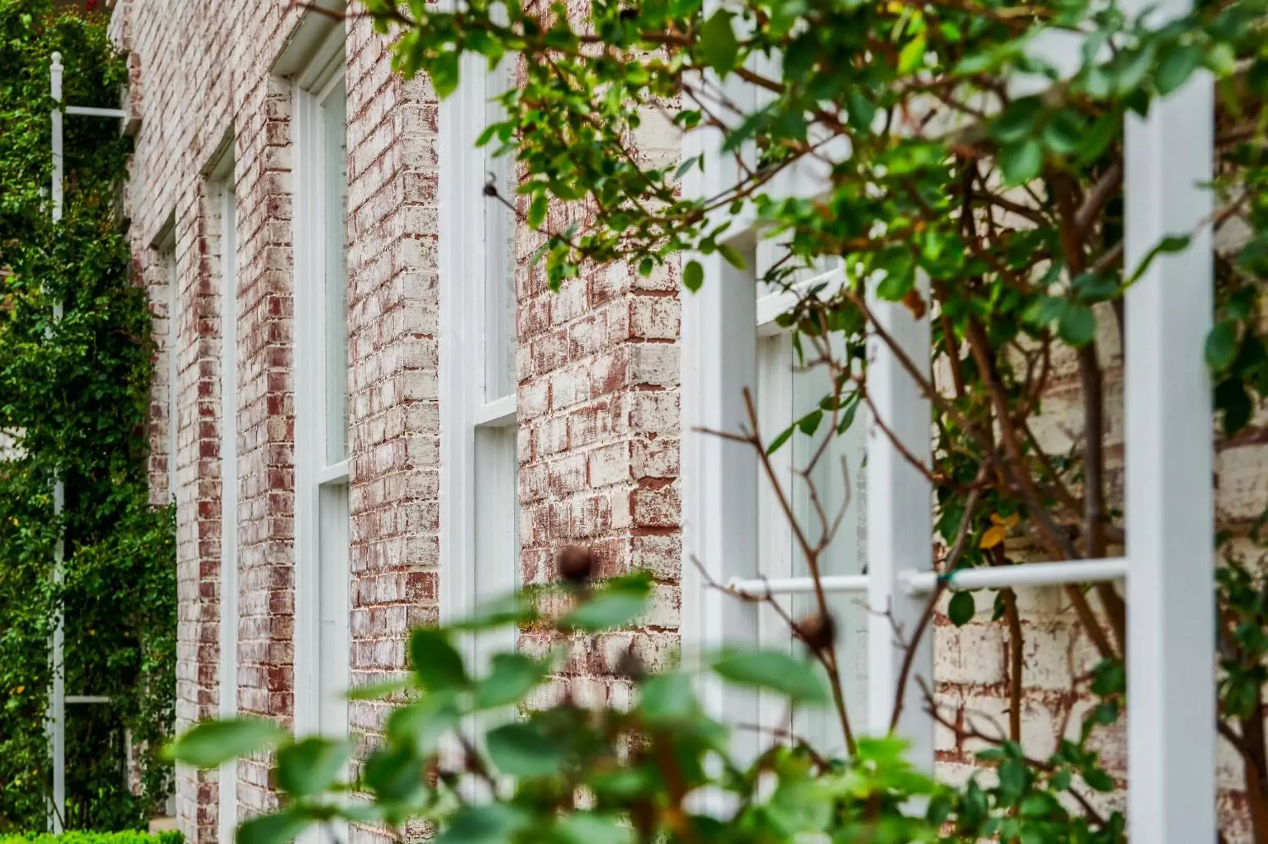 Garden view, Property Building in Inn at Carnall Hall