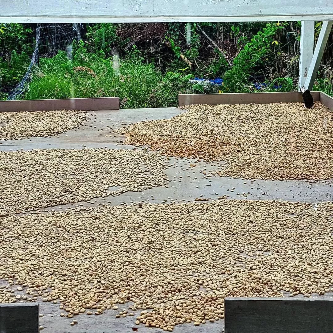 Day in Hale Hualalai