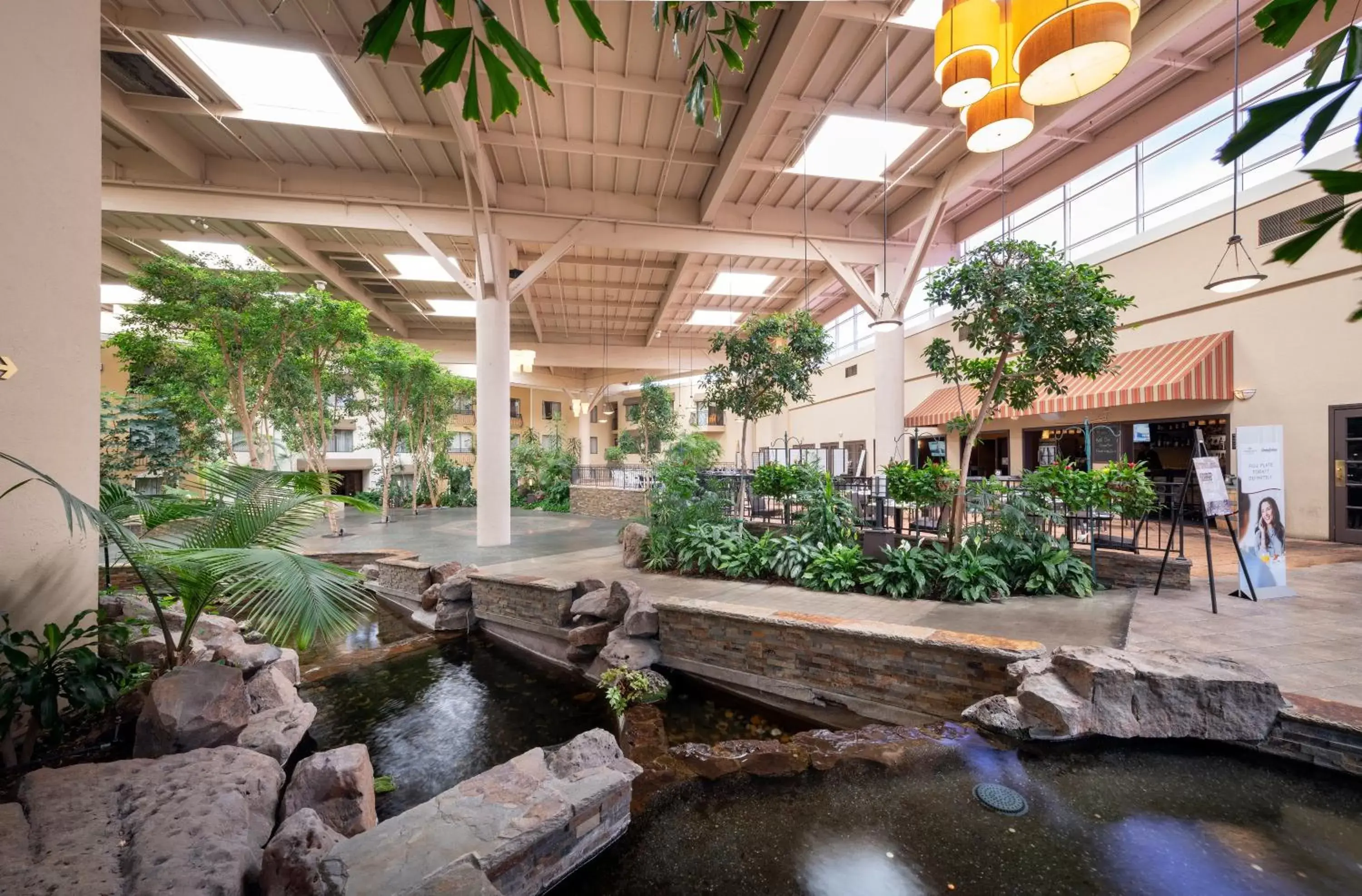 Lobby or reception, Patio/Outdoor Area in Concord Plaza Hotel