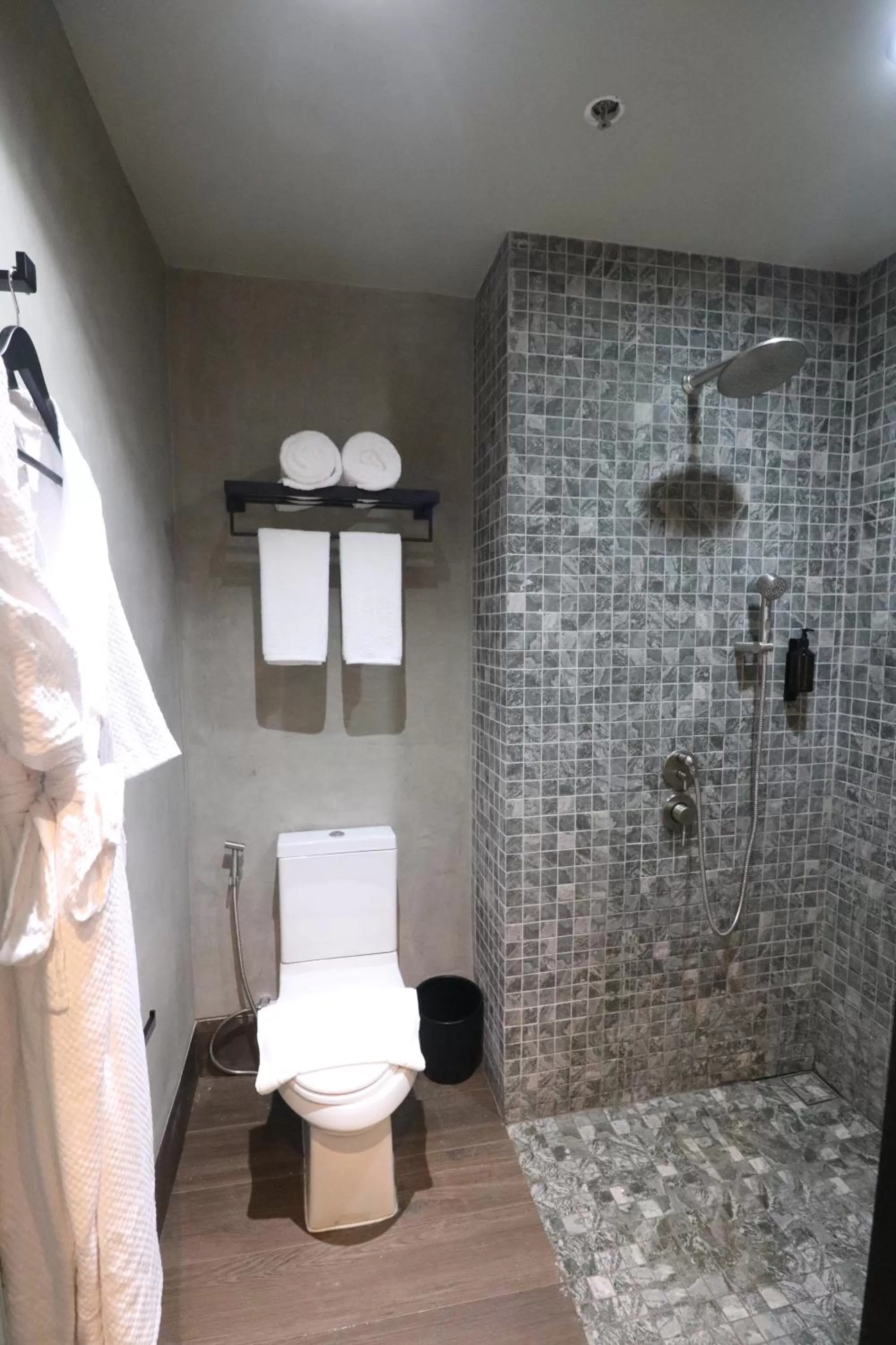 The Funny Lion - El Nido