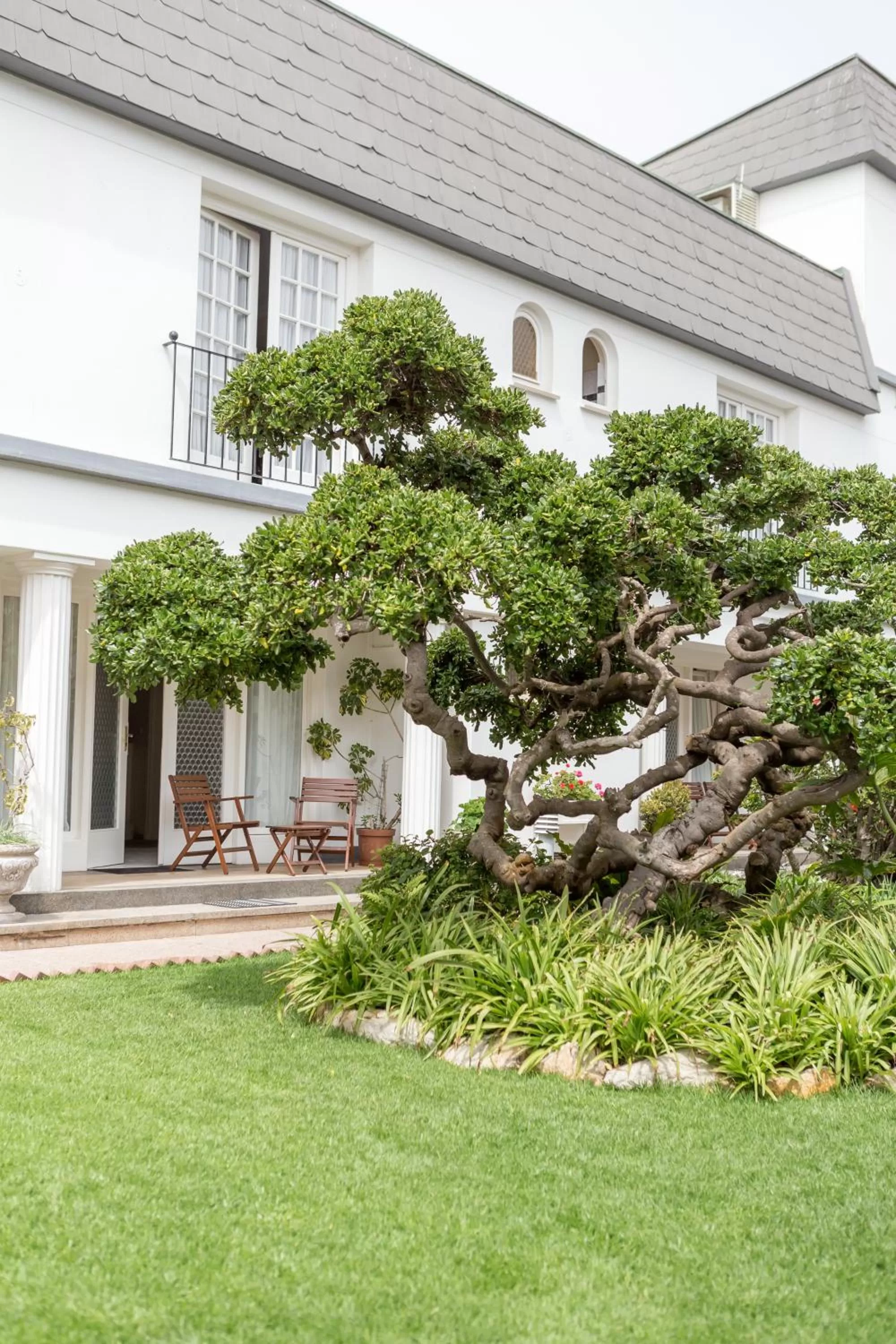 Garden in Hansa Hotel Swakopmund