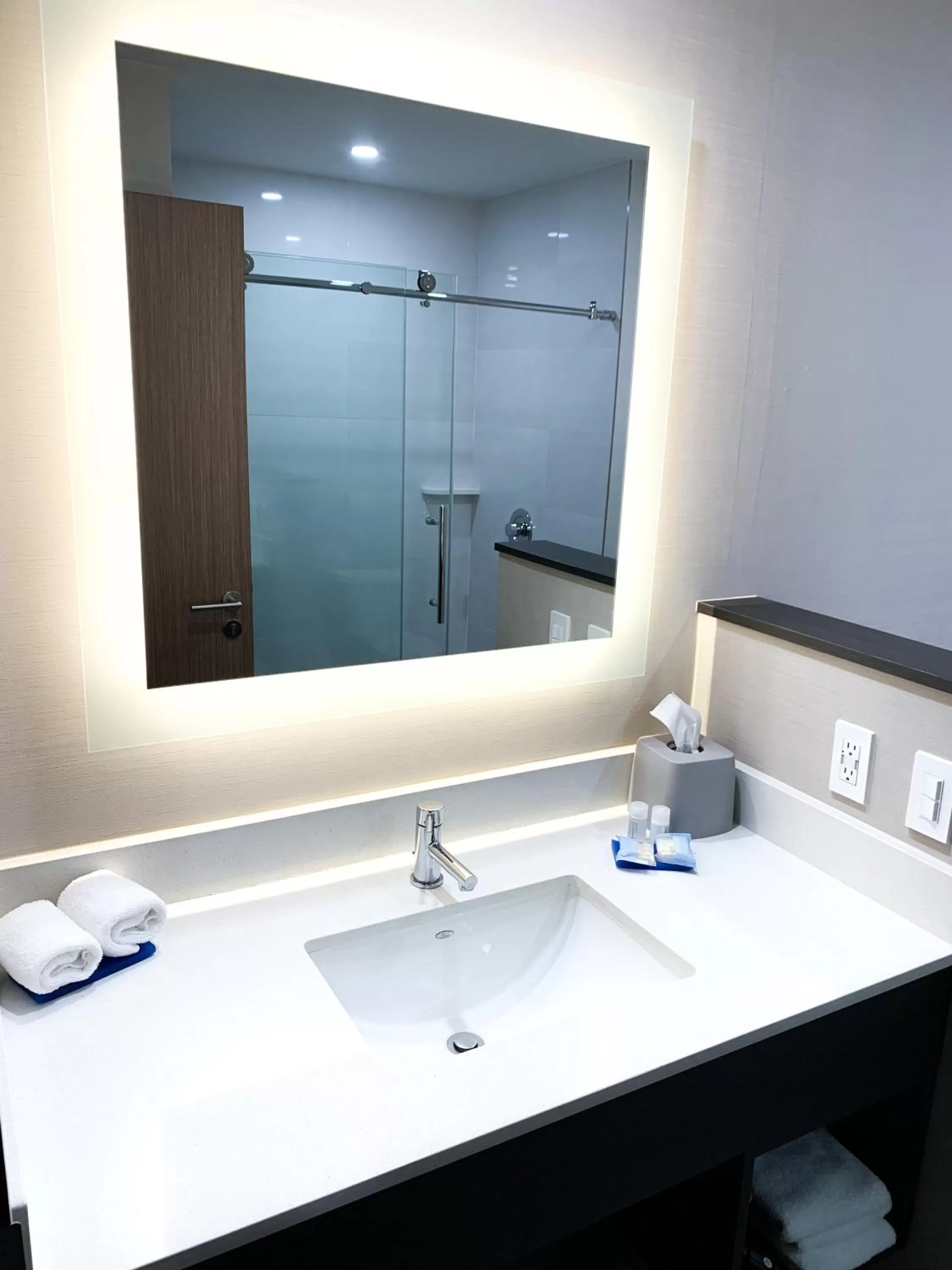 Bathroom in Holiday Inn Express & Suites - Tijuana Otay by IHG