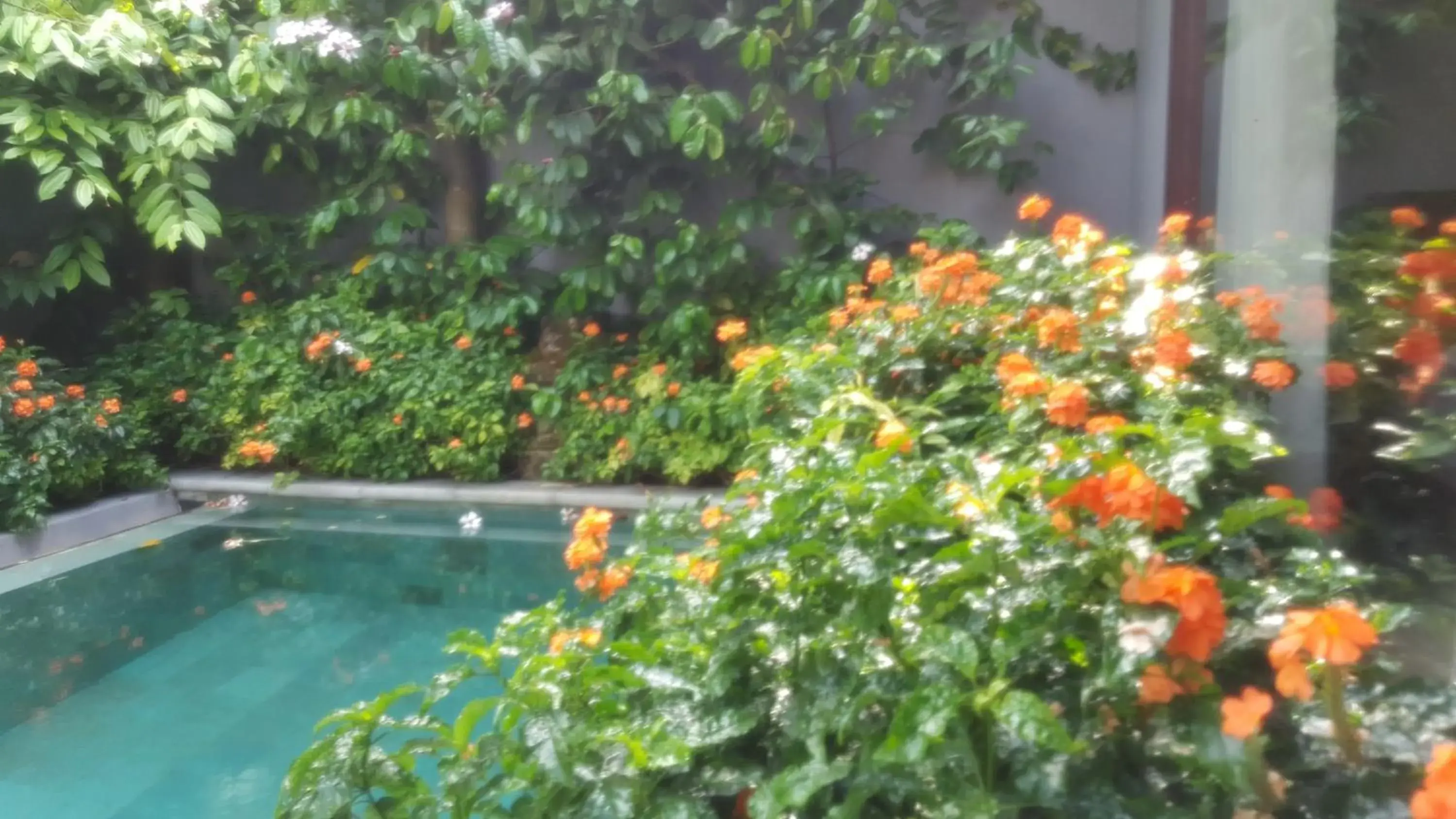 Garden, Swimming Pool in Ubud Wana Resort