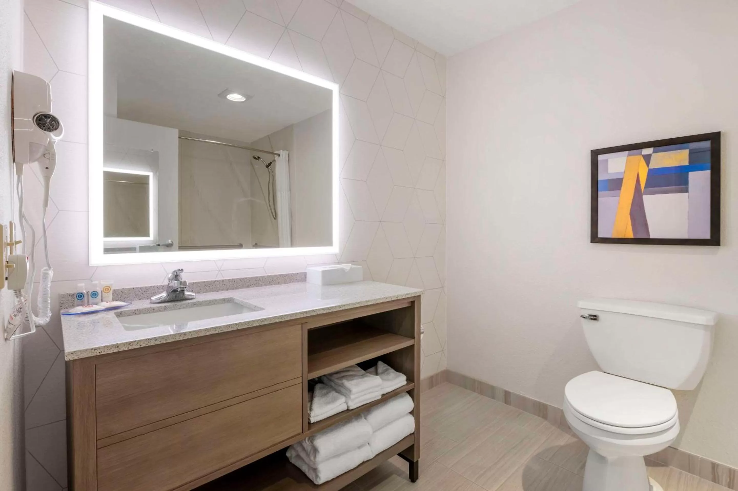 Toilet in Comfort Inn Edinburgh - Columbus