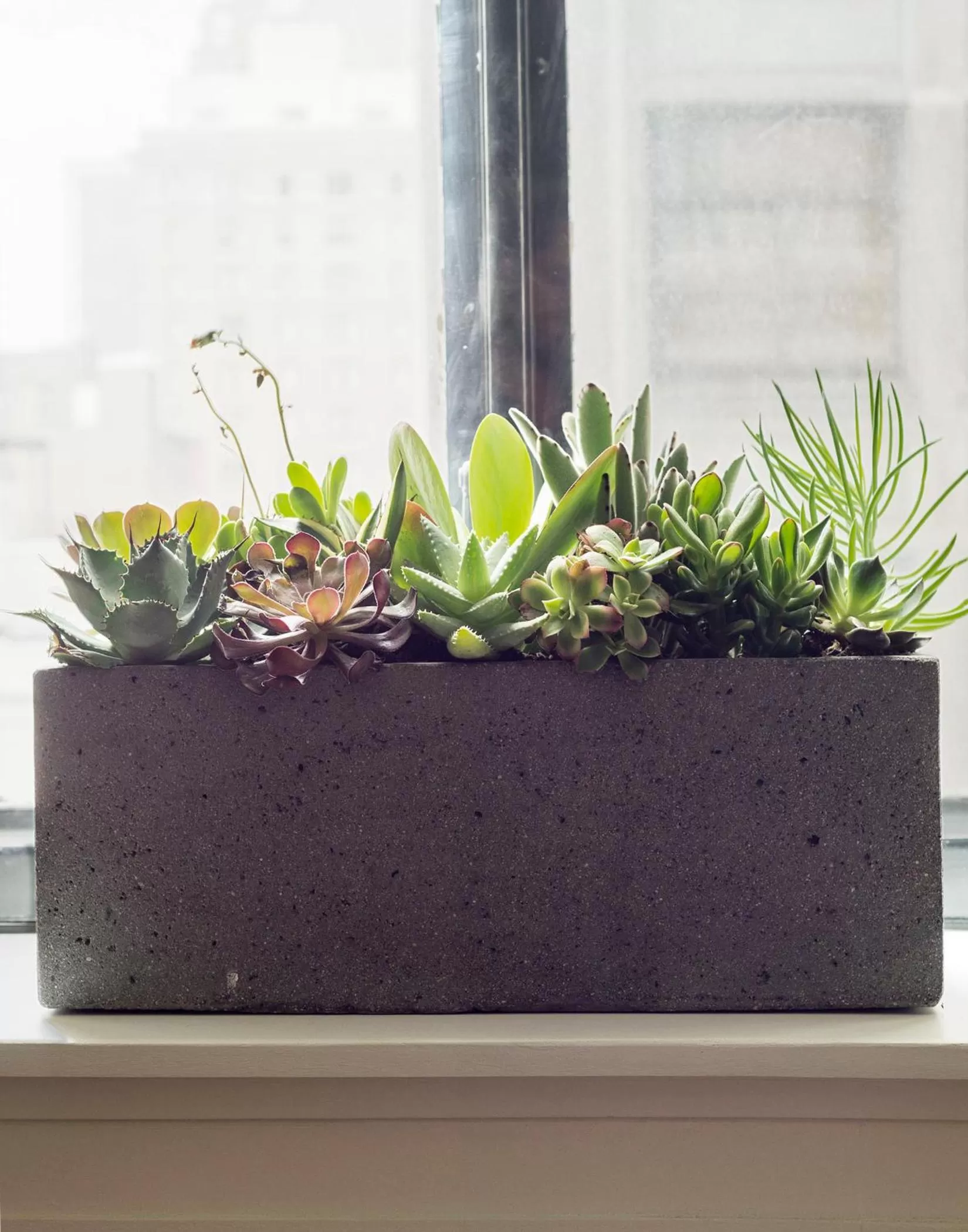 Living room in ROOST Midtown