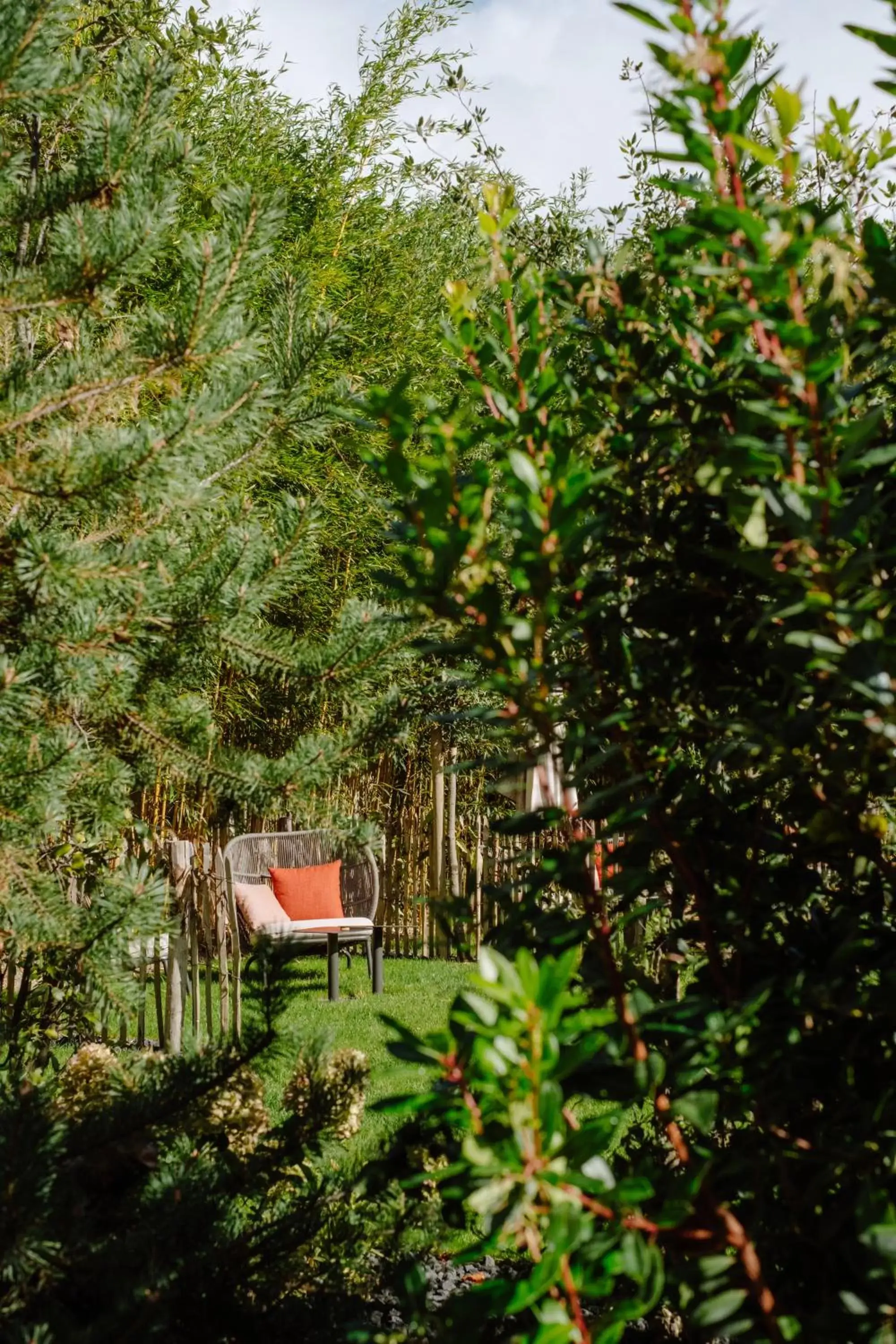 Garden in Hôtel Maison Pavlov