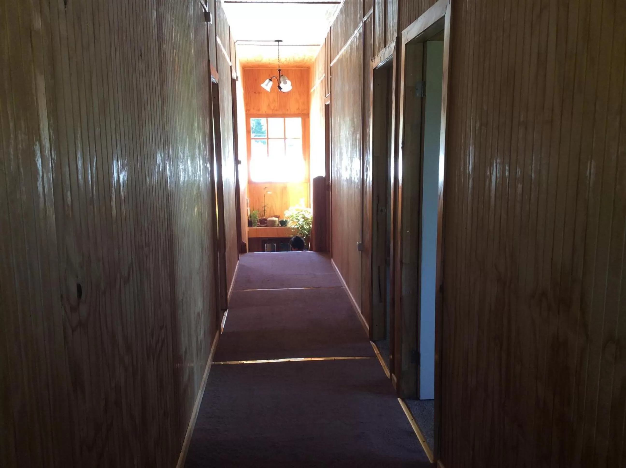 Property building in Los Mañíos Del Queulat Puyuhuapi