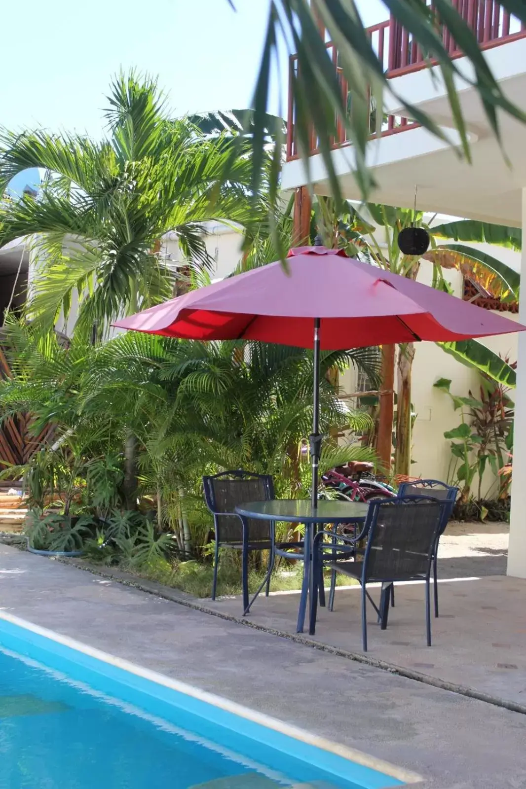 Patio, Swimming Pool in hotel stella maris tulum