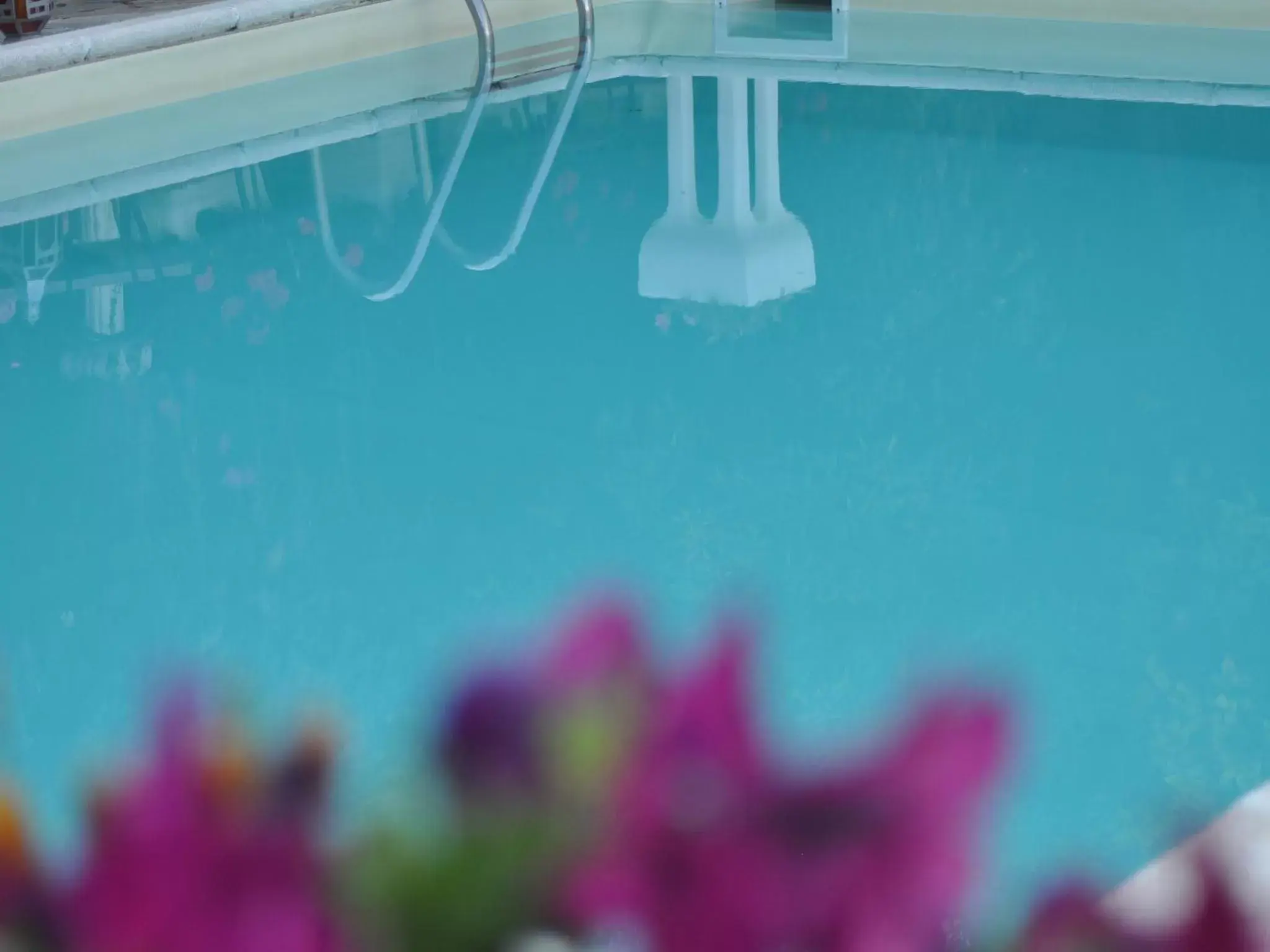 Swimming Pool in Hotel Bellavista