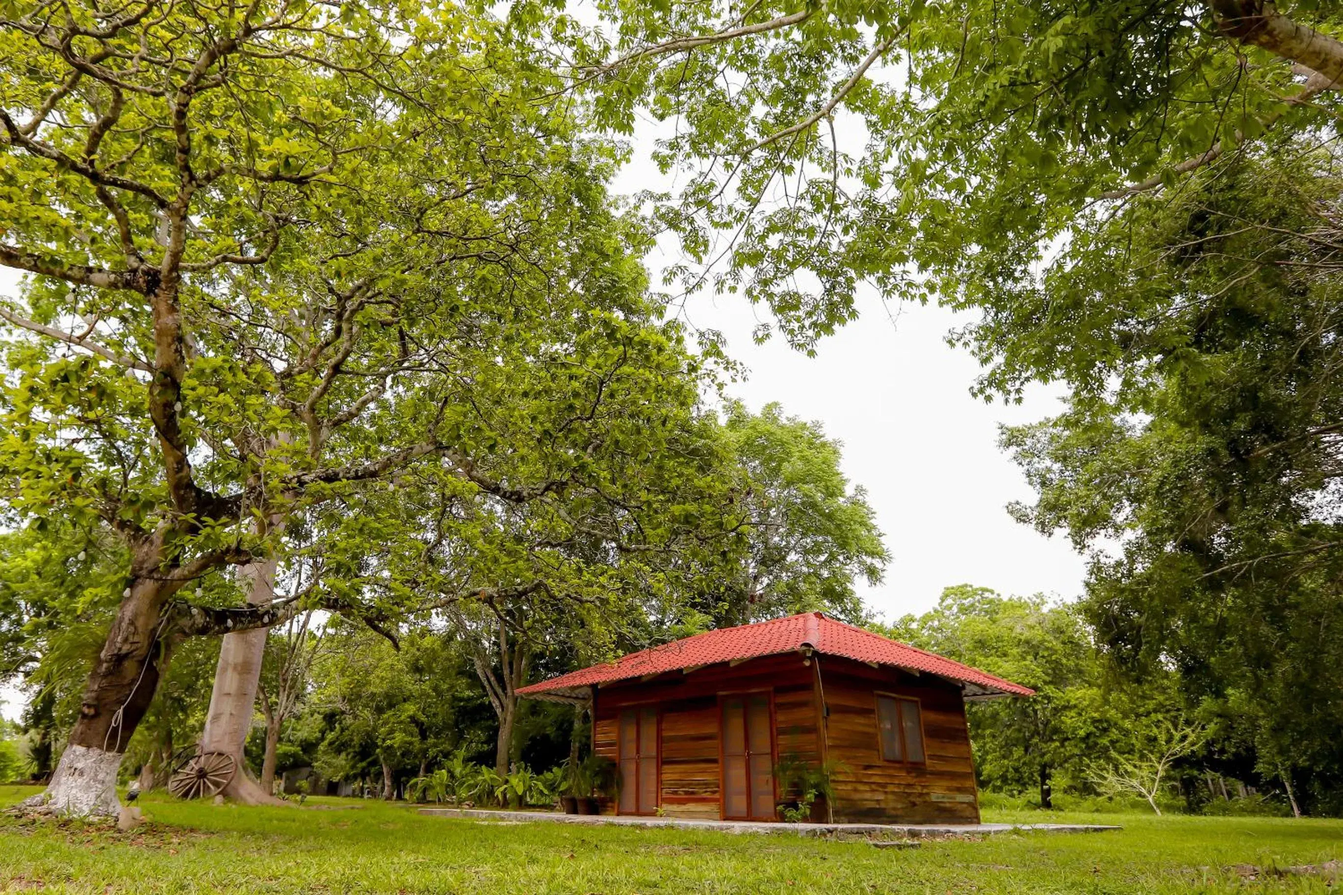 Natural landscape, Property Building in Mayan Secret Hotel Boutique