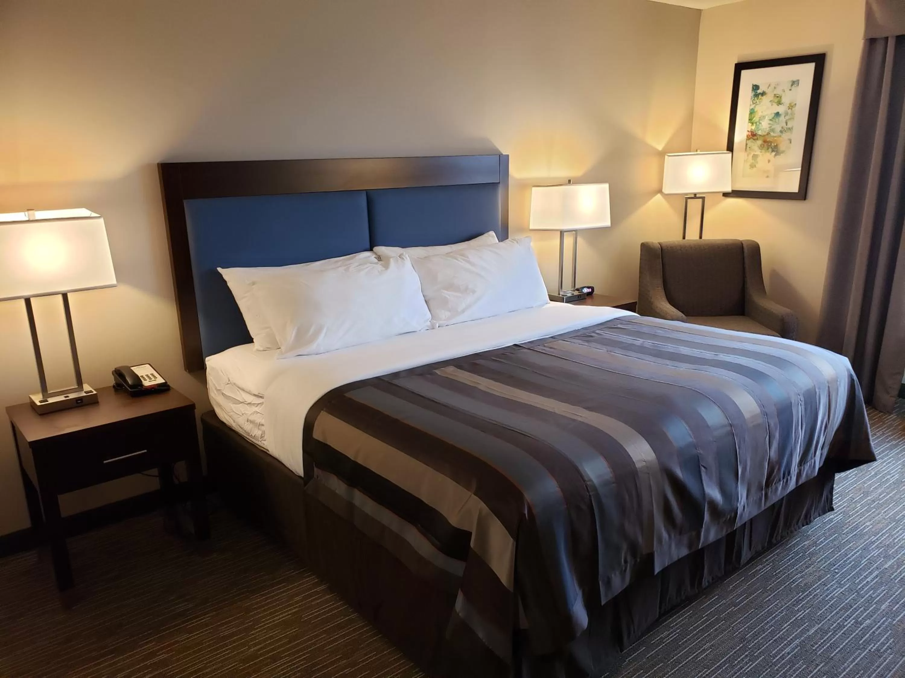 Bed in Wingate by Wyndham Christiansburg