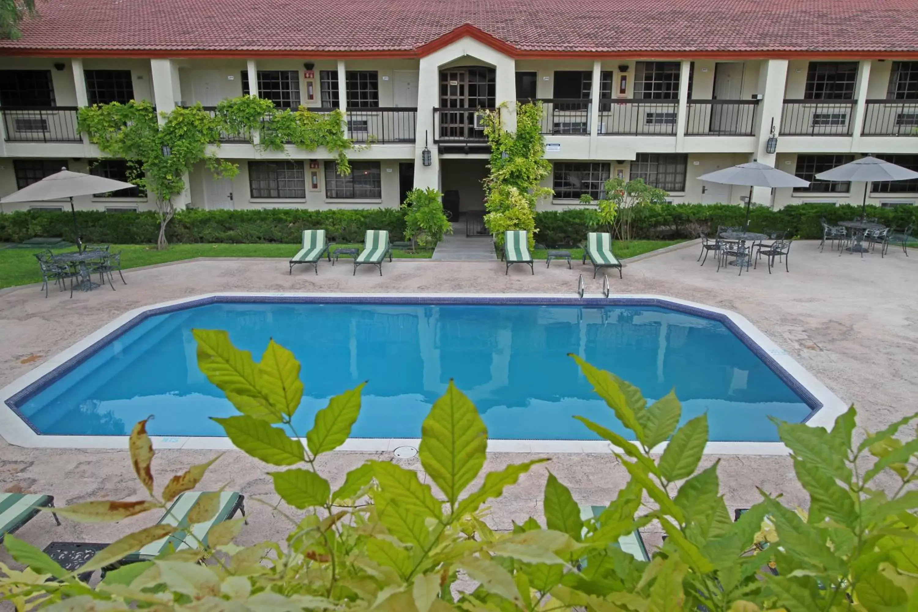 Swimming Pool in Quinta Dorada Hotel & Suites