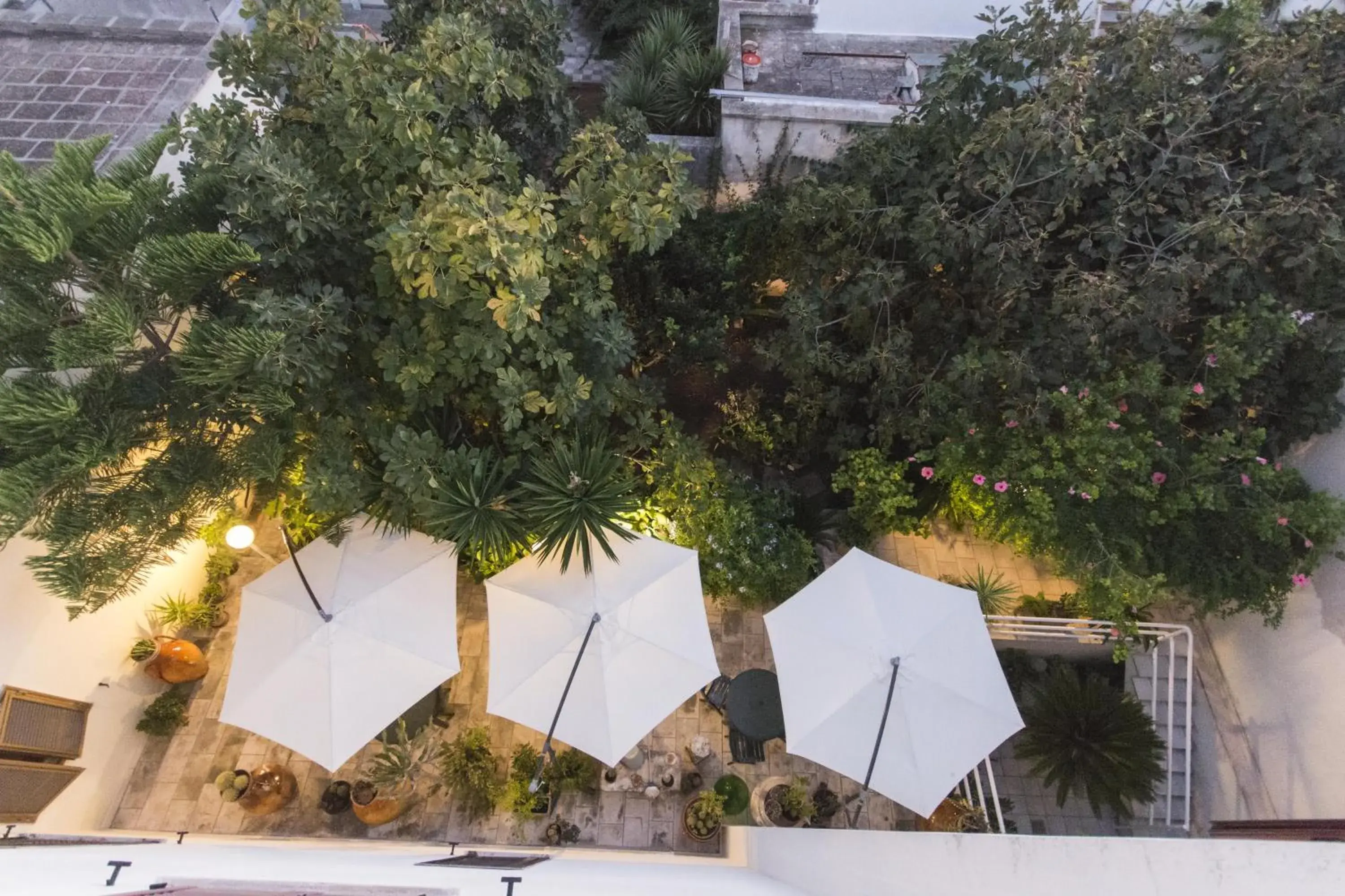 Balcony/Terrace in B&B Luxury